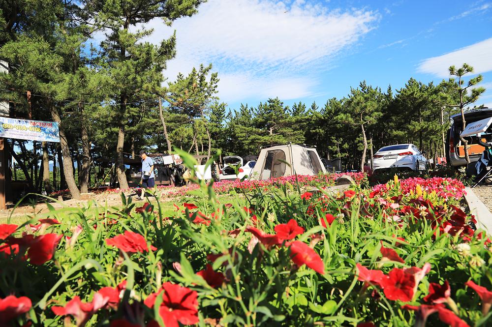 낙산해수욕장 야영장