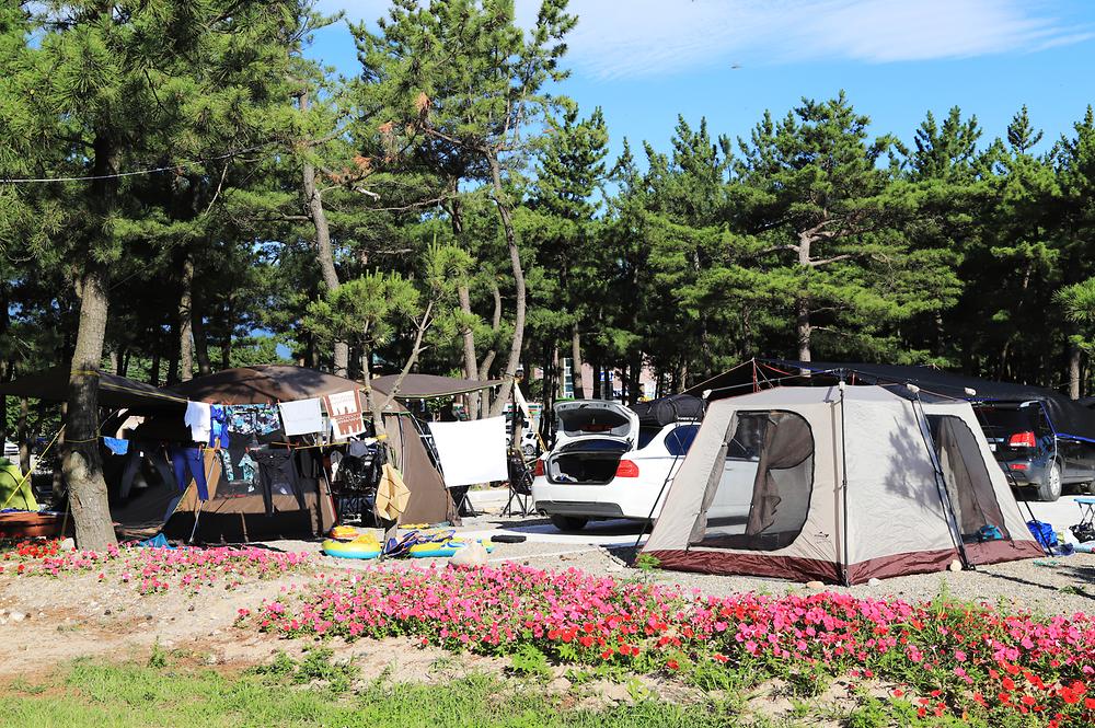 낙산해수욕장 야영장