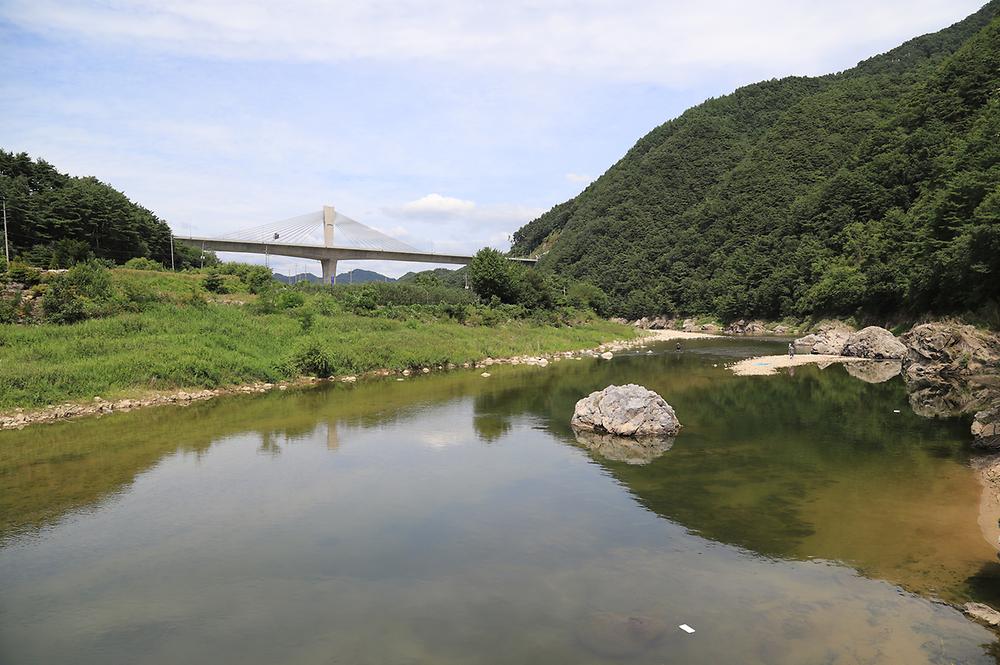 내린천솔밭힐링캠핑장