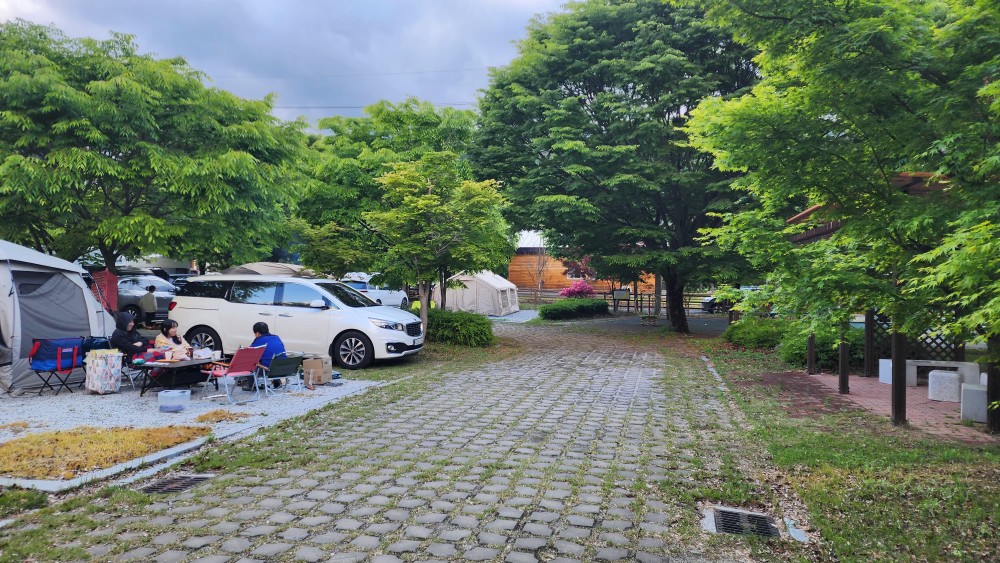 농월정오토캠핑장 이미지