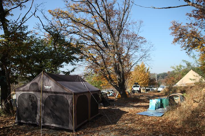 느티나무그늘아래 캠핑장
