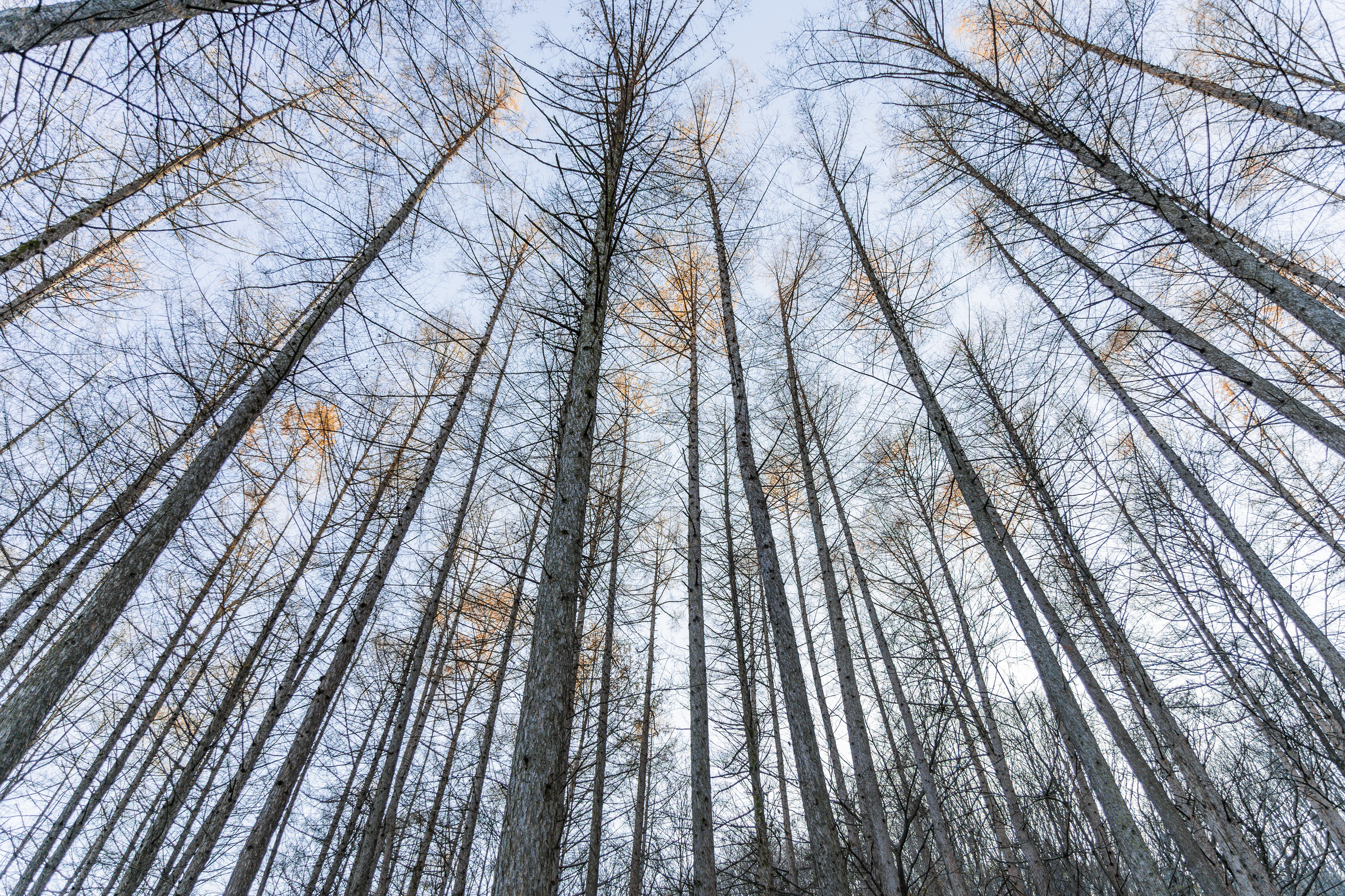 거창 국민여가캠핑장 37번째 이미지