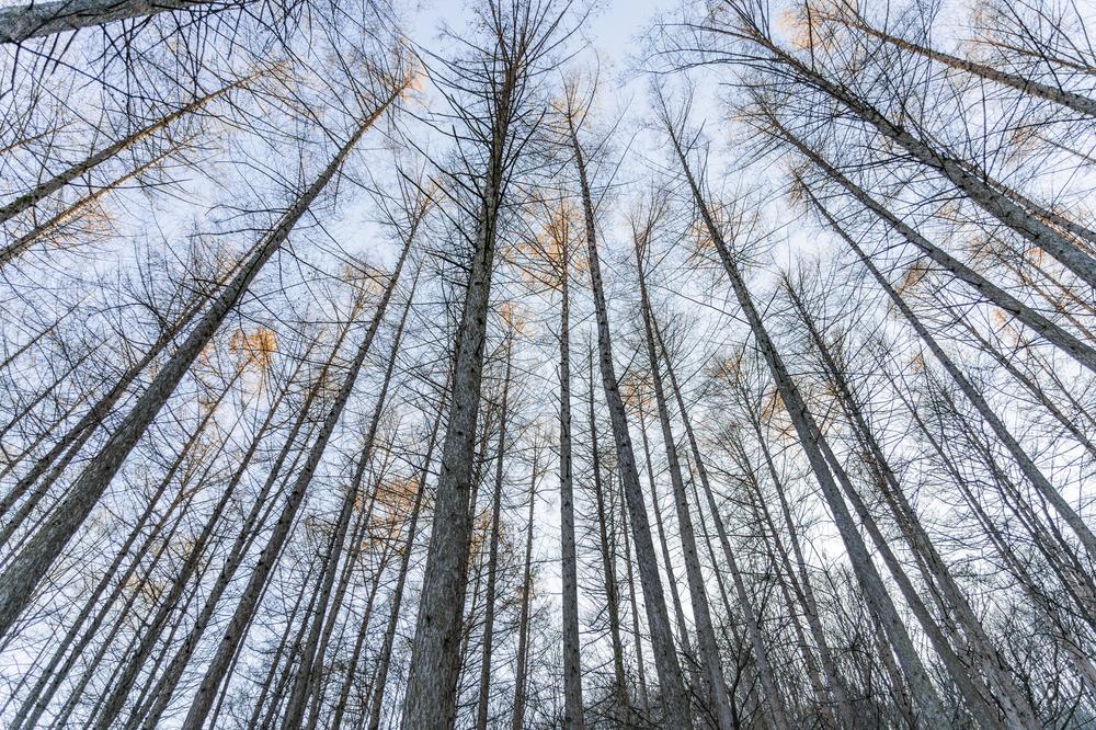 거창 국민여가캠핑장