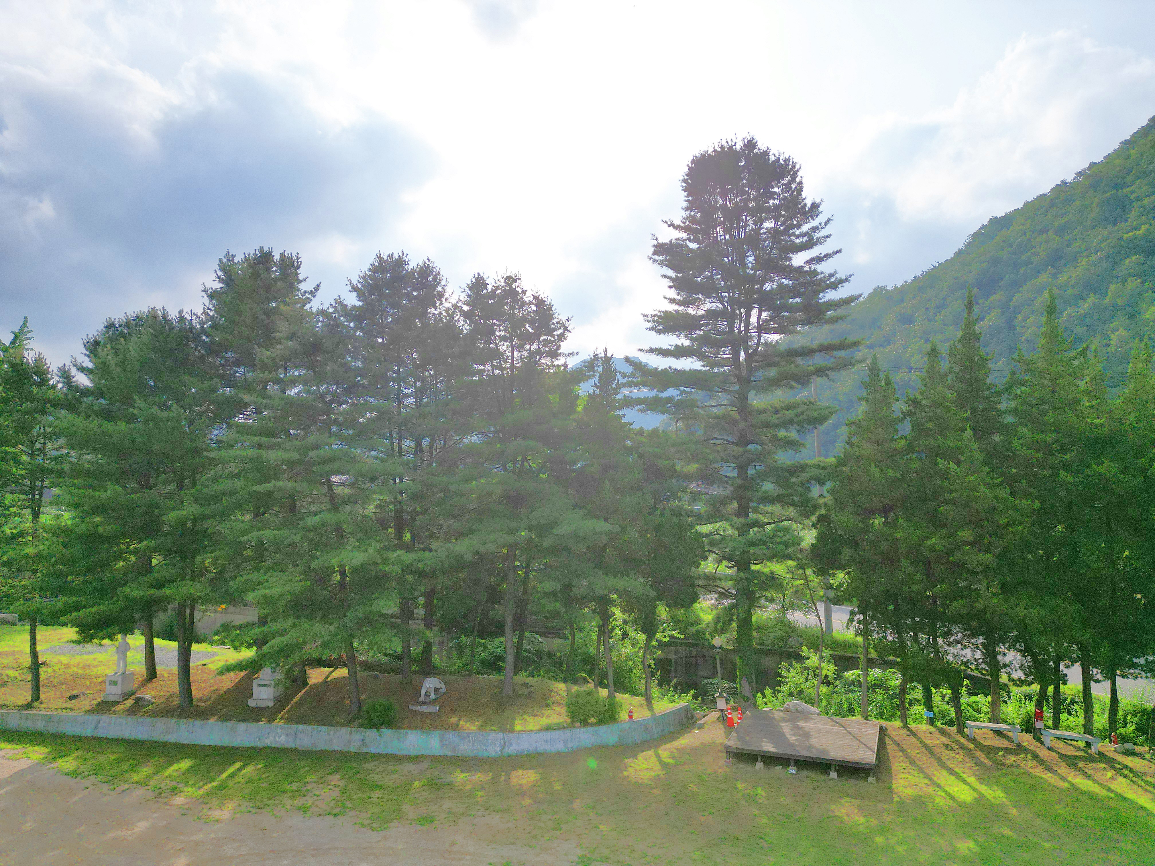 구학희망캠핑장 22번째 이미지