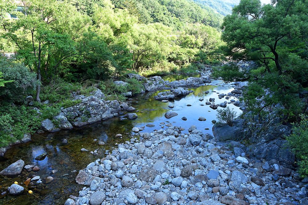 뱀사골 힐링야영장