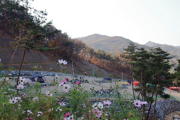 대가야농촌문화체험특구 캠핑장