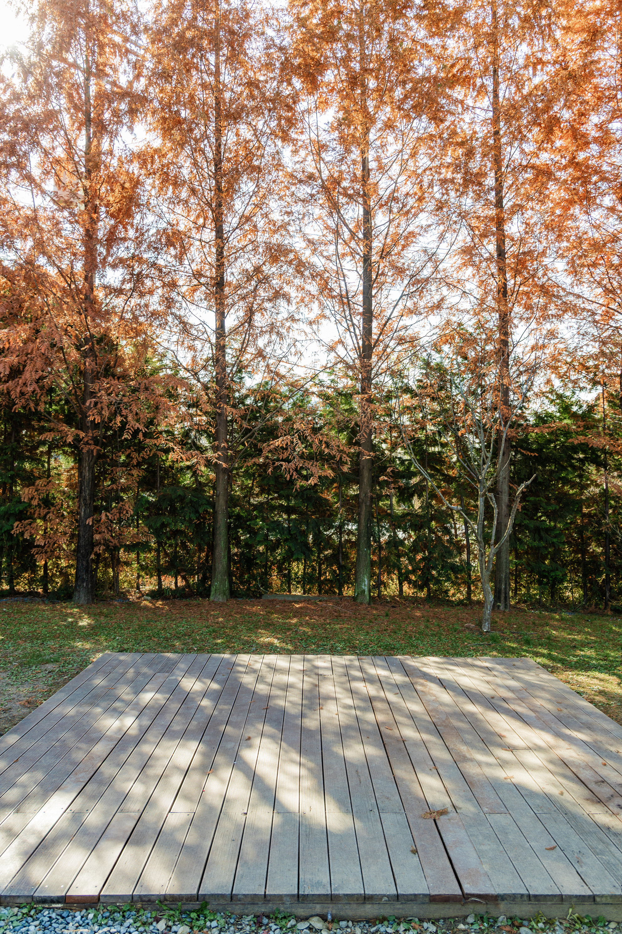 왕송호수 캠핑장 24번째 이미지