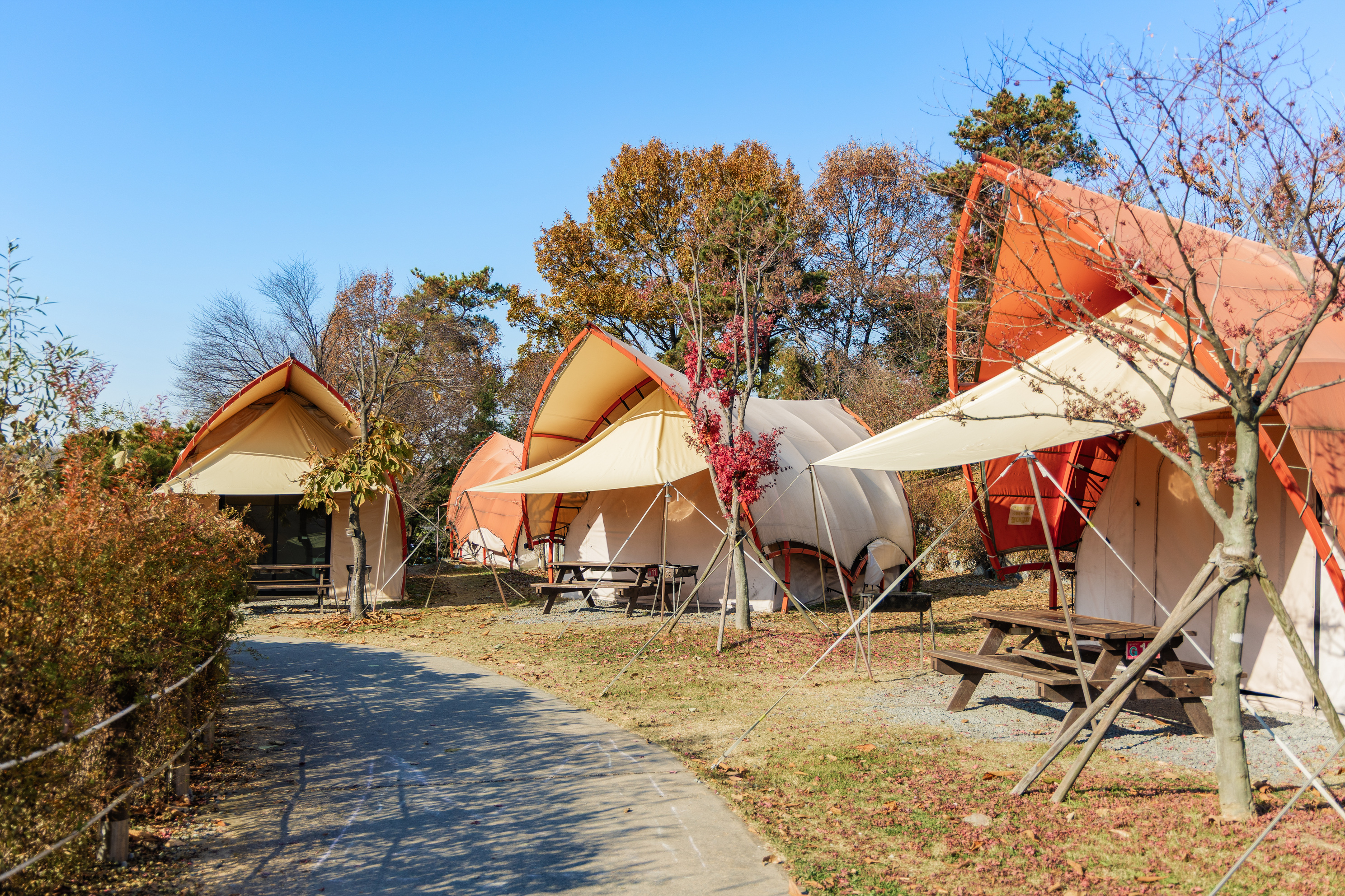 왕송호수 캠핑장 48번째 이미지