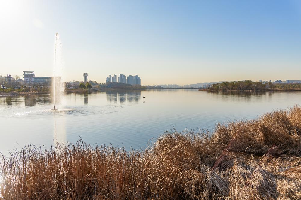 왕송호수 캠핑장