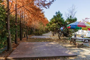 캠핑장소개 이미지