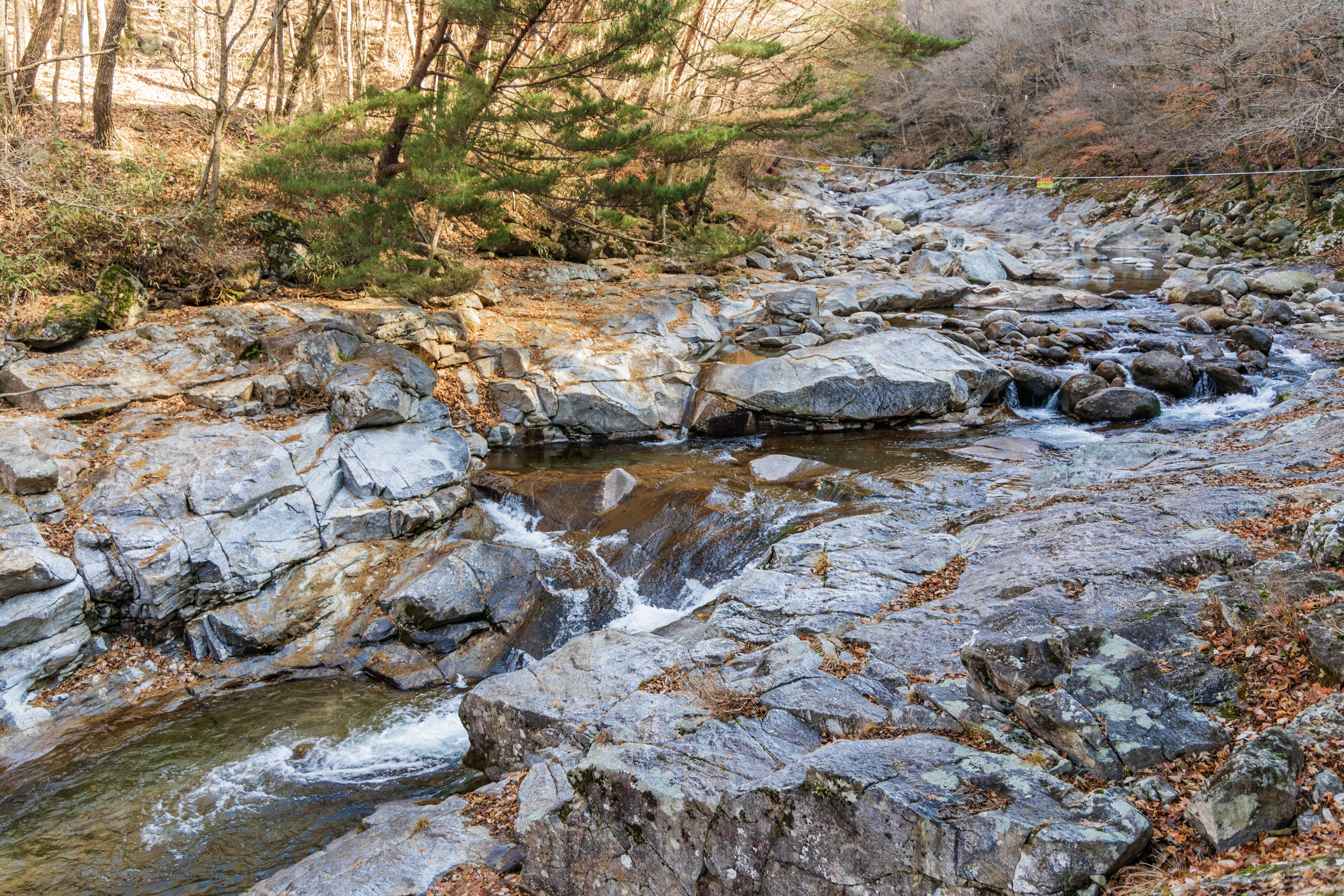 달궁자동차야영장 이미지