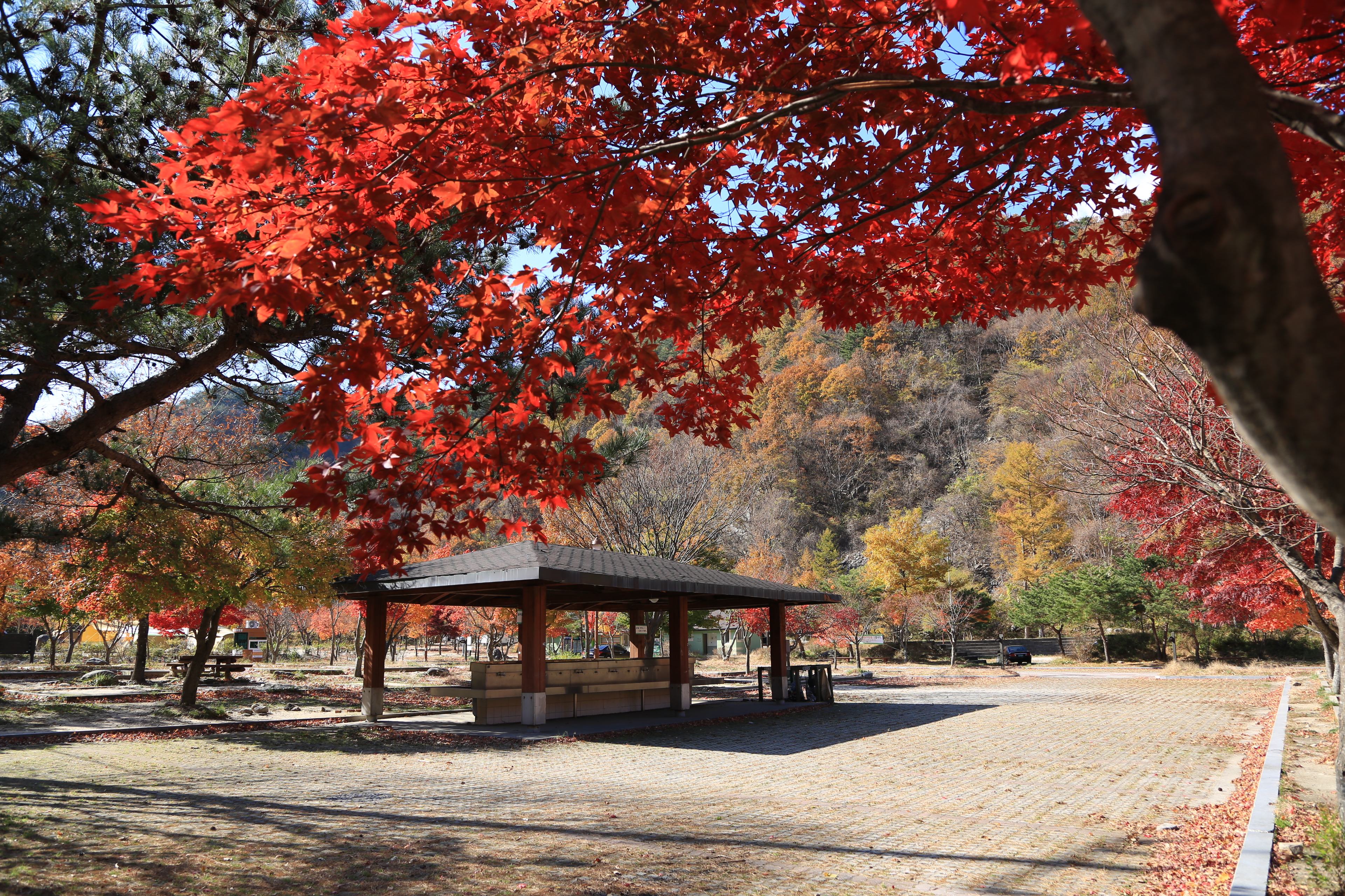달궁자동차야영장