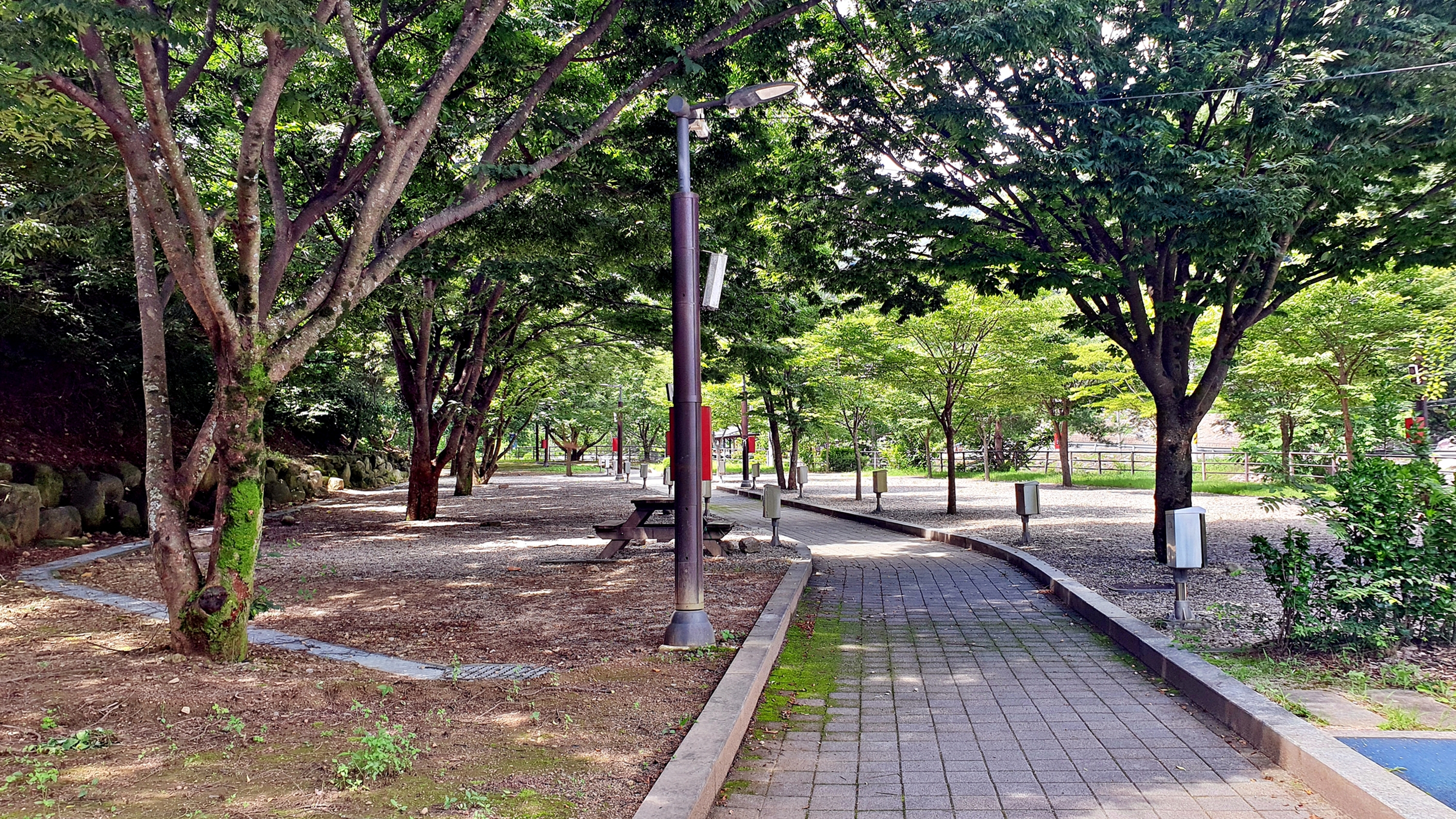 단양 남천 야영장 18번째 이미지