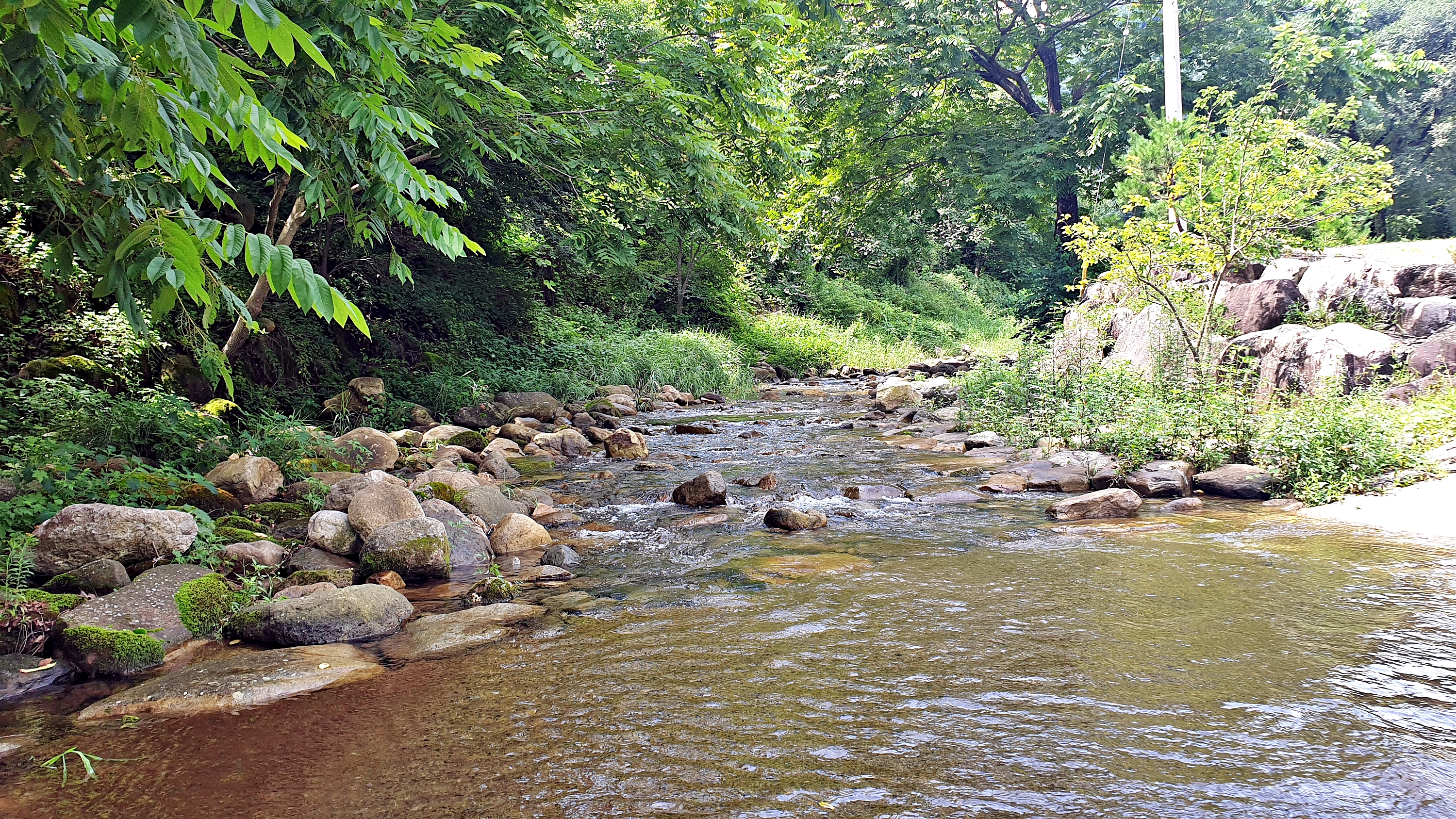 단양 남천 야영장 22번째 이미지