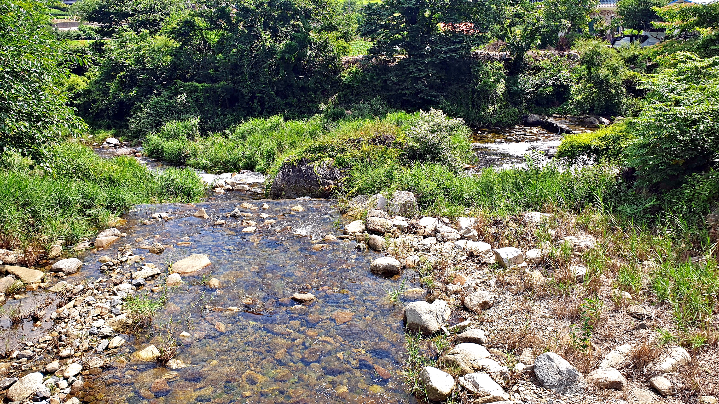 단양 남천 야영장 15번째 이미지