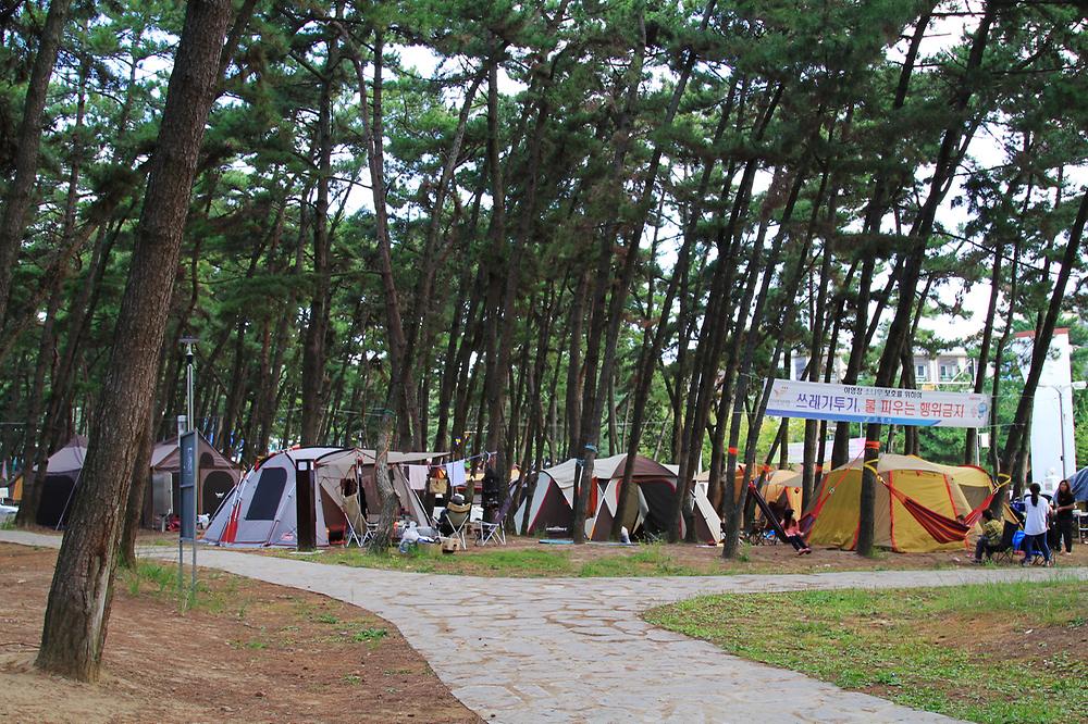 대천해수욕장 야영장