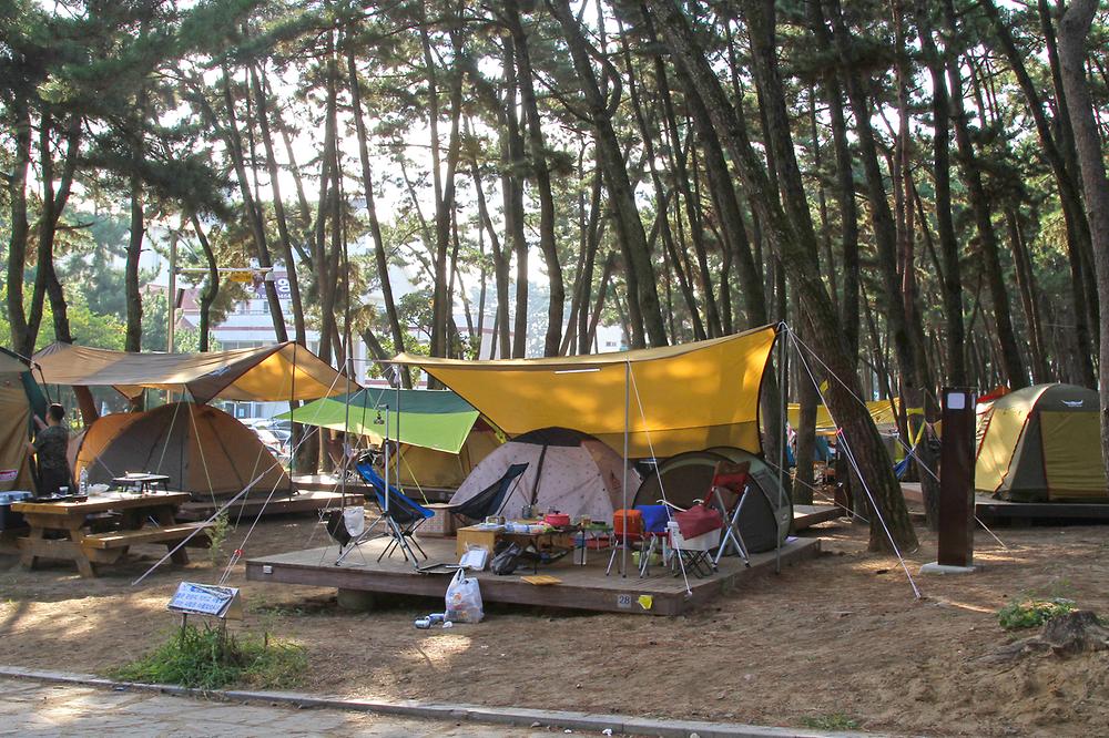 대천해수욕장 야영장