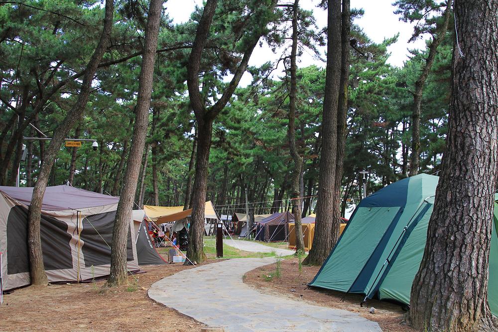 대천해수욕장 야영장