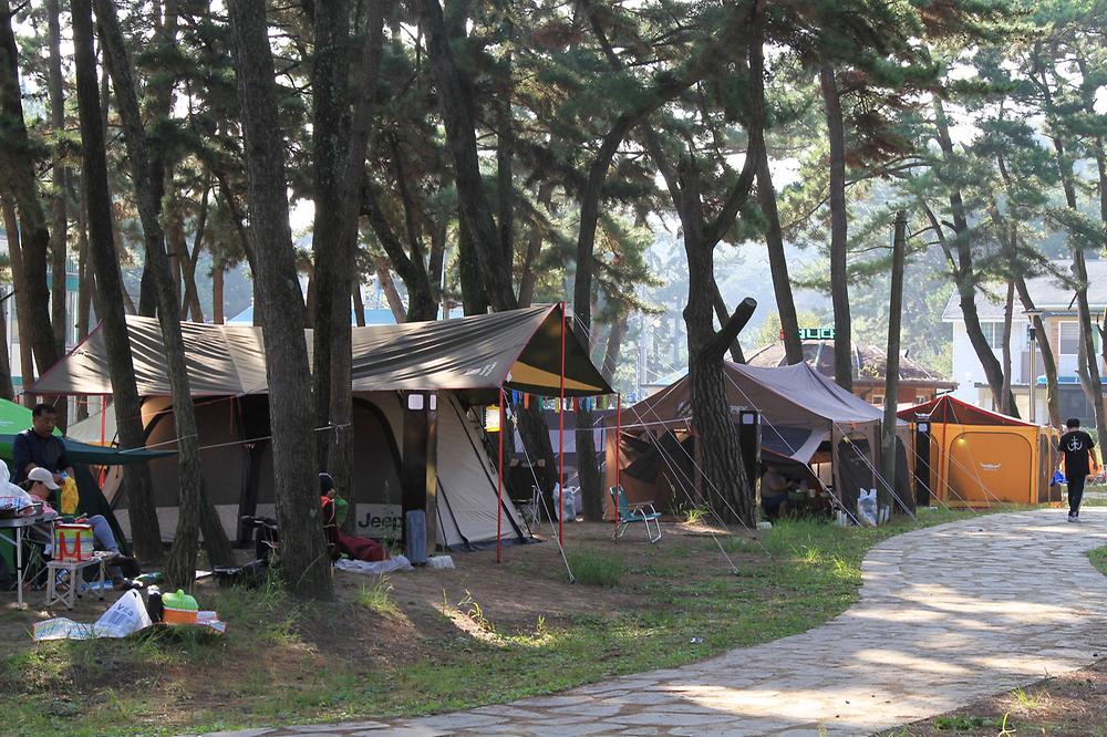 대천해수욕장 야영장