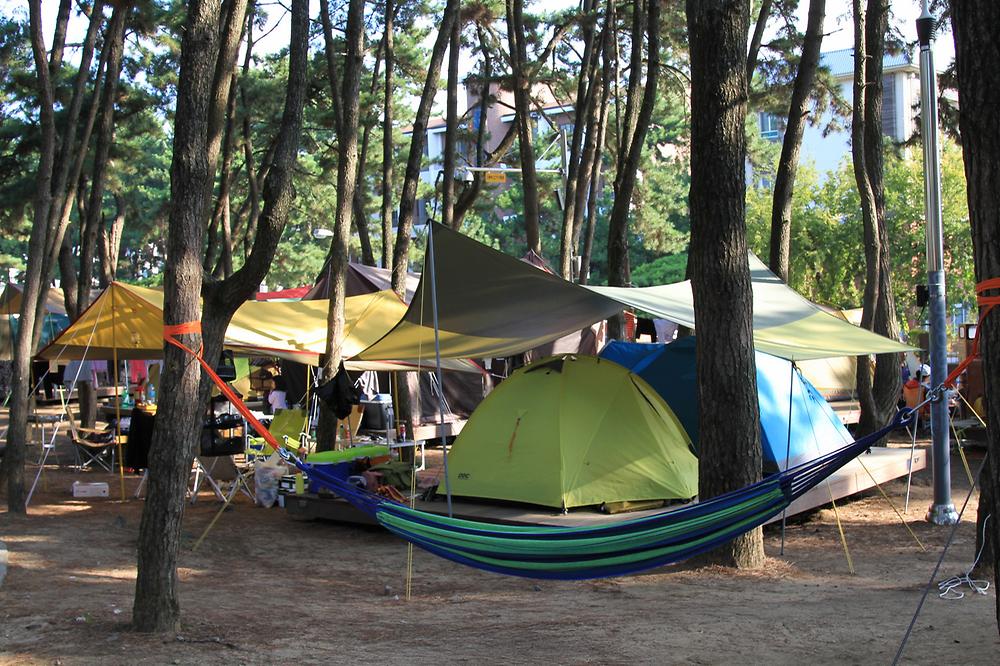 대천해수욕장 야영장