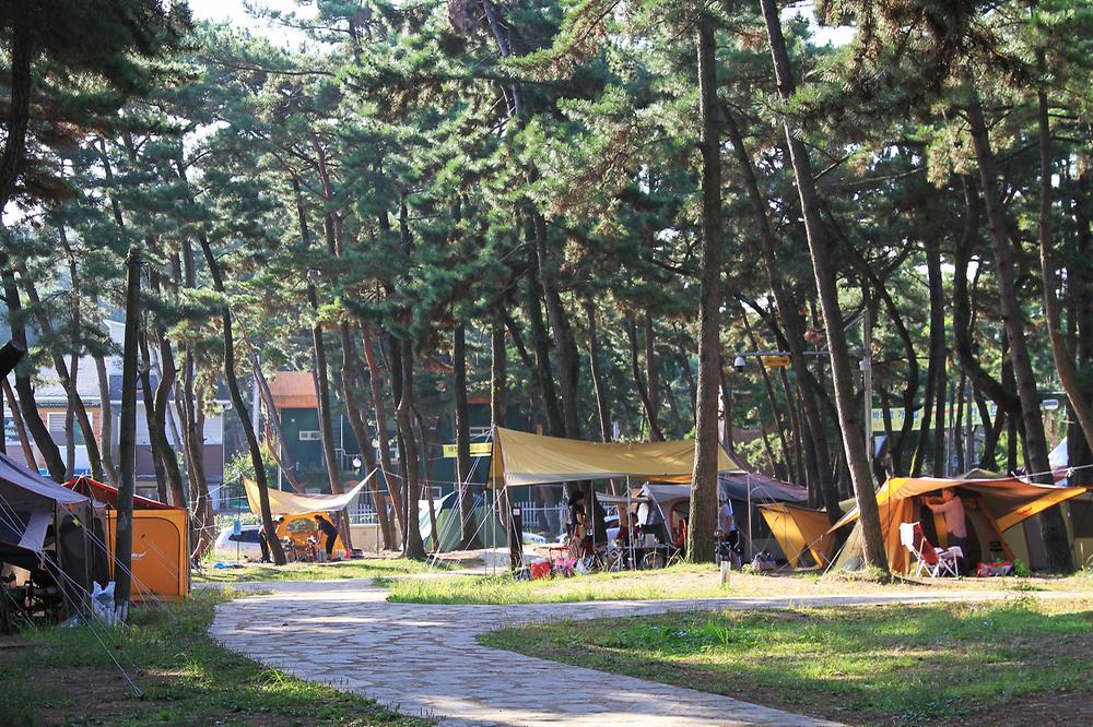 대천해수욕장 야영장