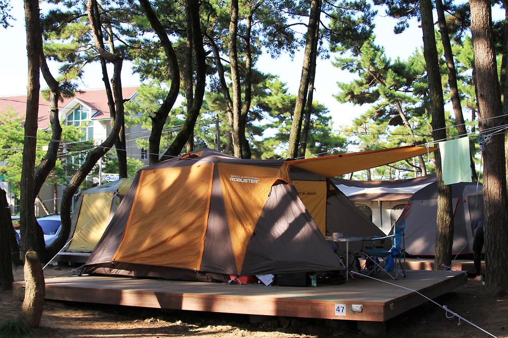 대천해수욕장 야영장