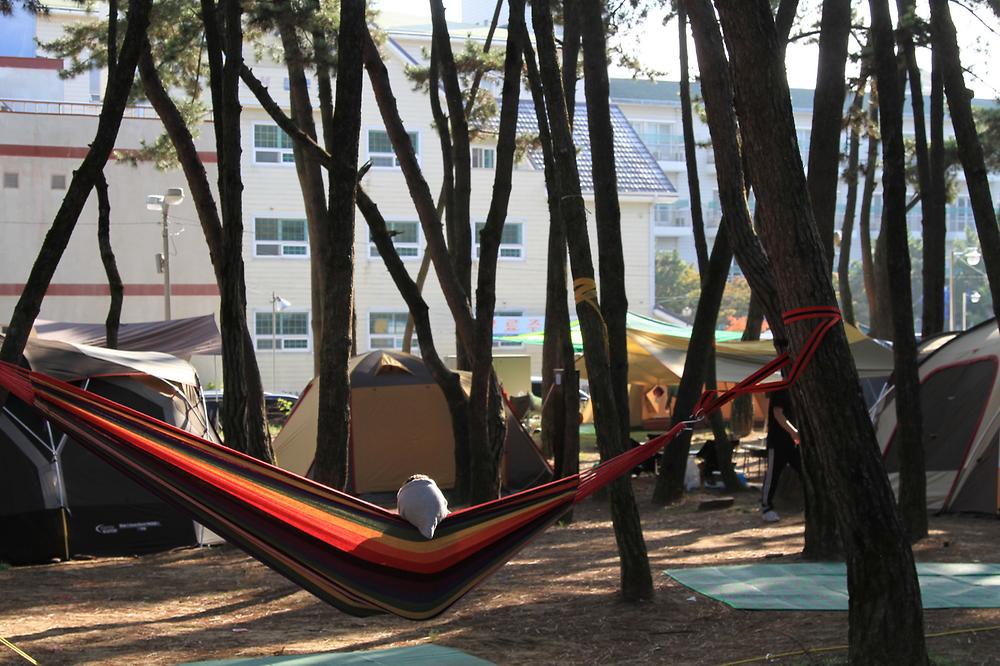 대천해수욕장 야영장