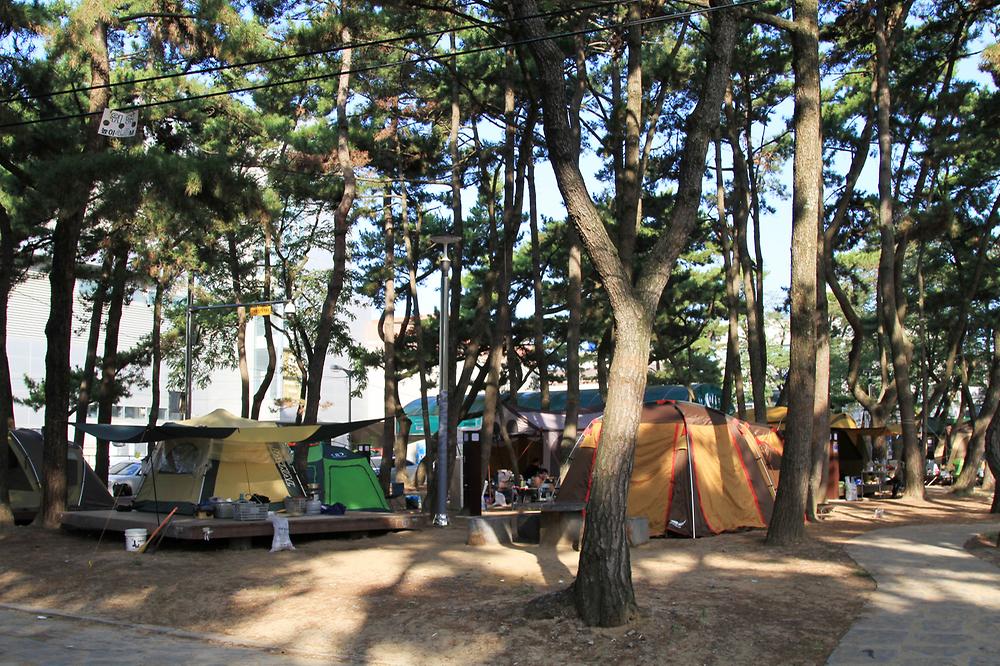 대천해수욕장 야영장