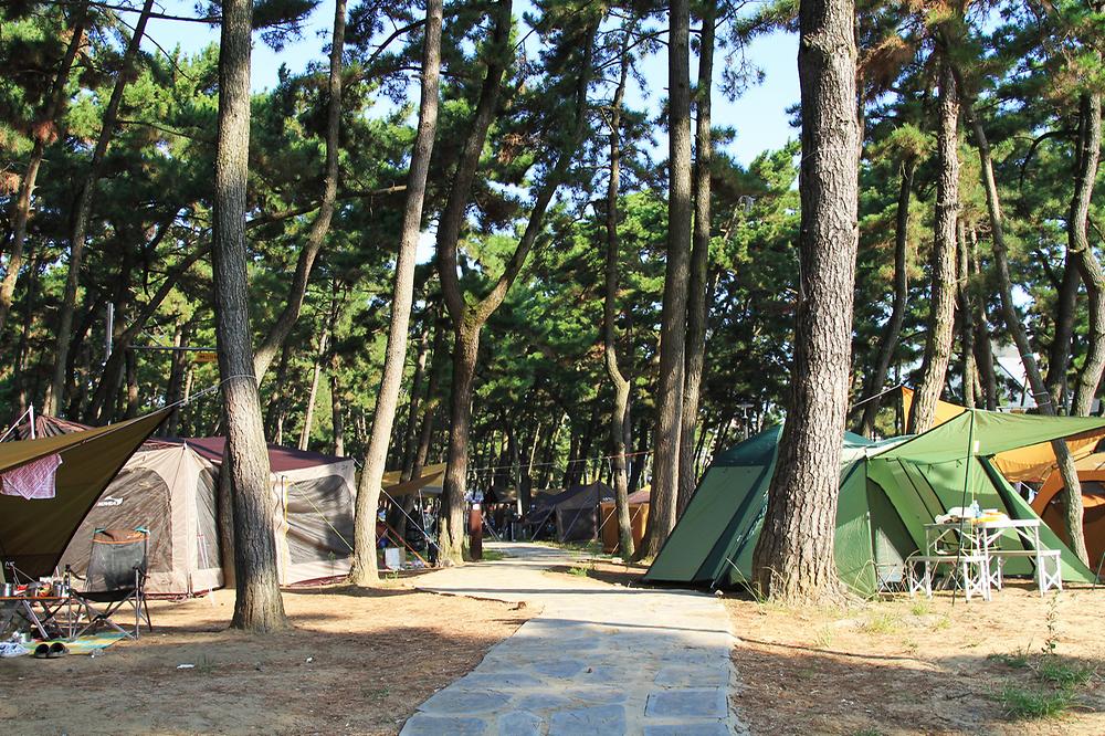 대천해수욕장 야영장