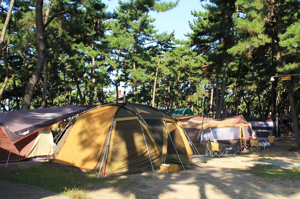 대천해수욕장 야영장