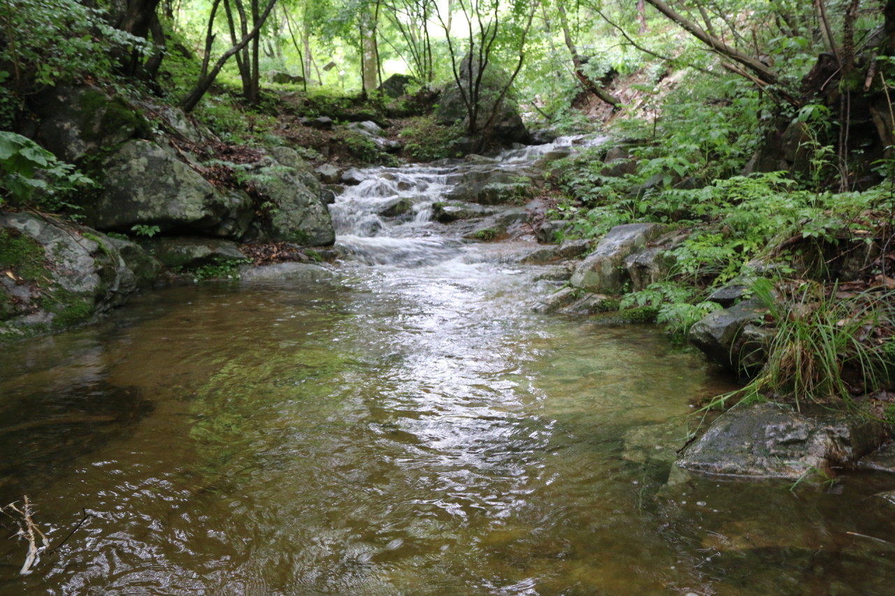 두산 캠핑장 추가 이미지