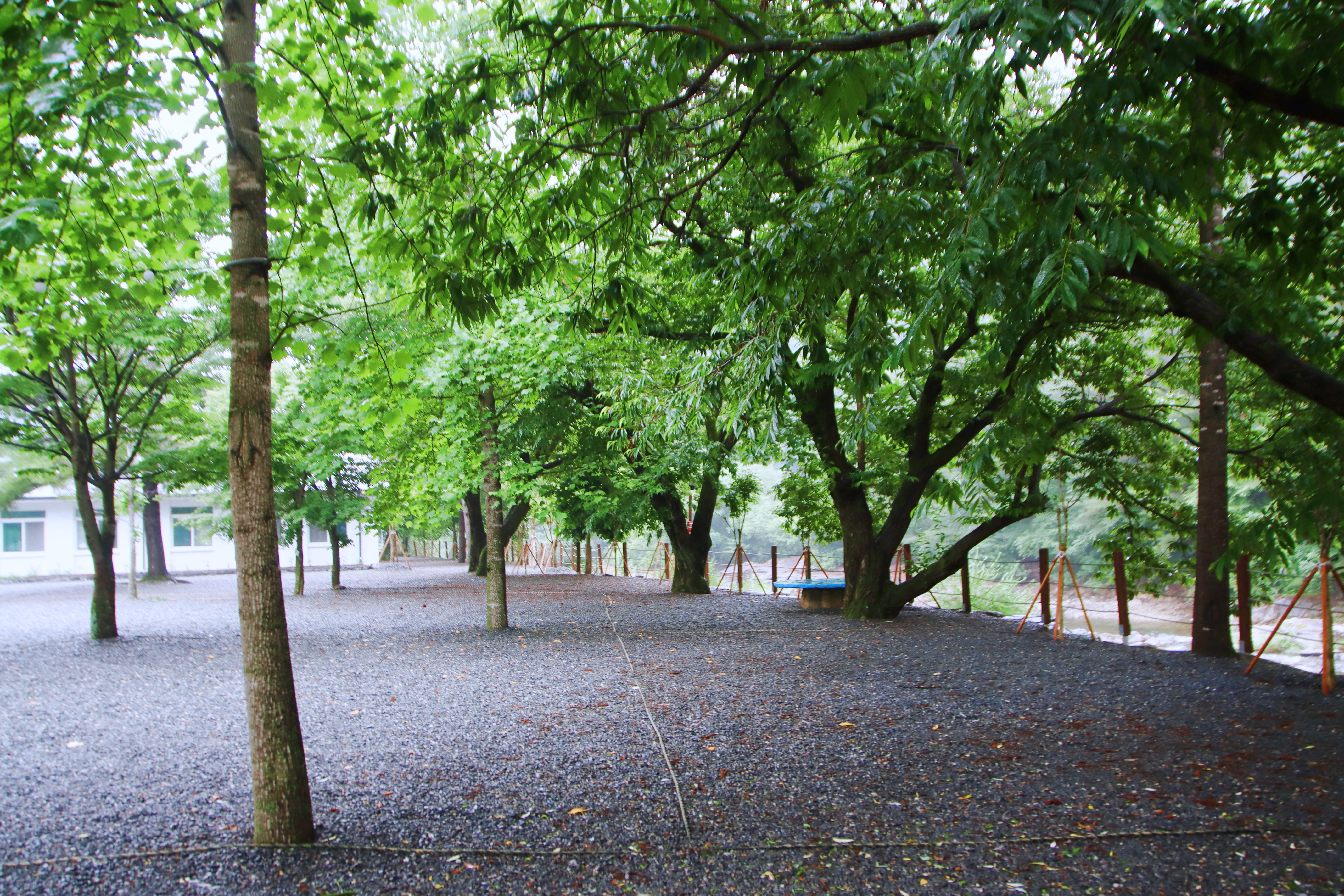 두산 캠핑장 18번째 이미지