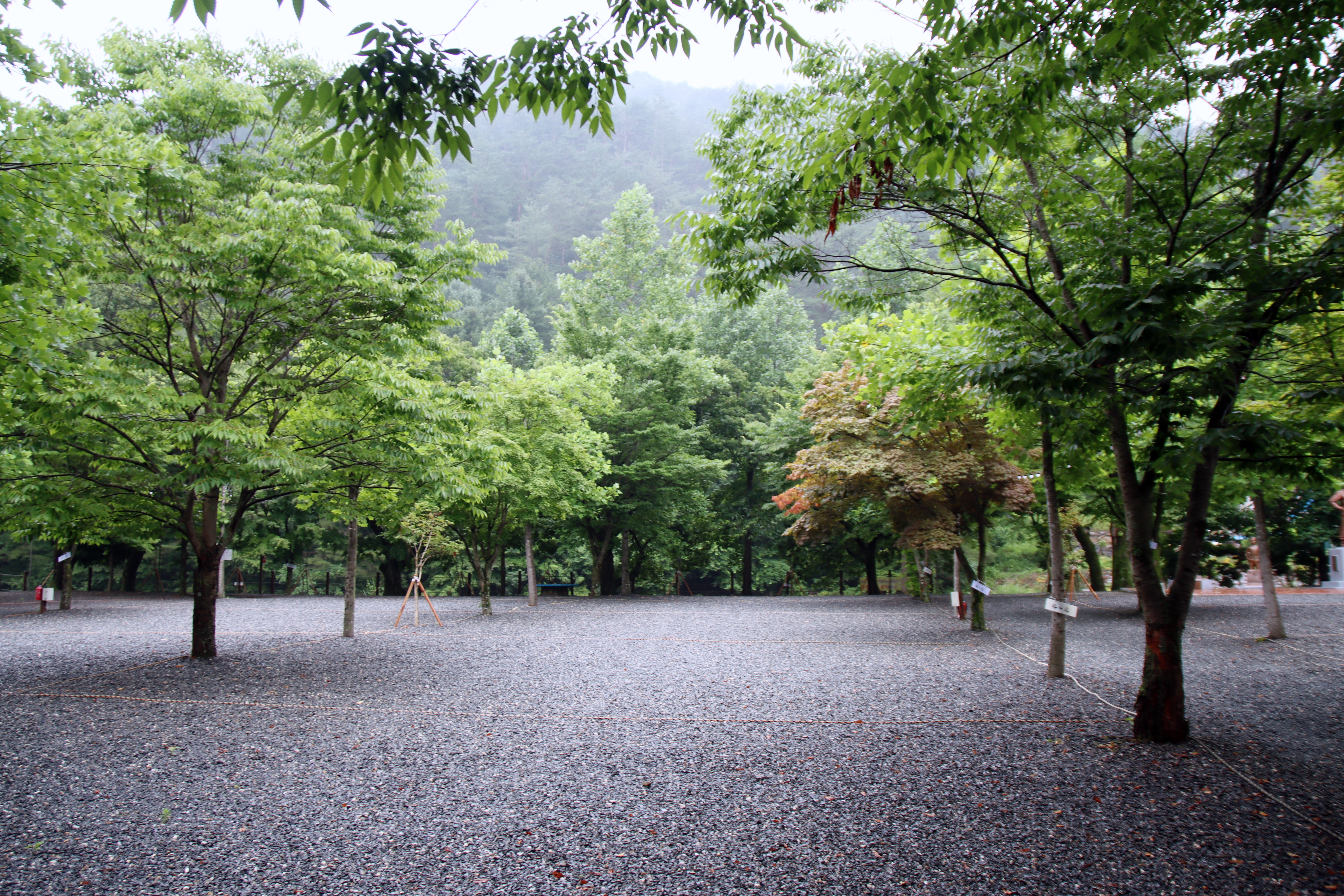 두산 캠핑장 13번째 이미지