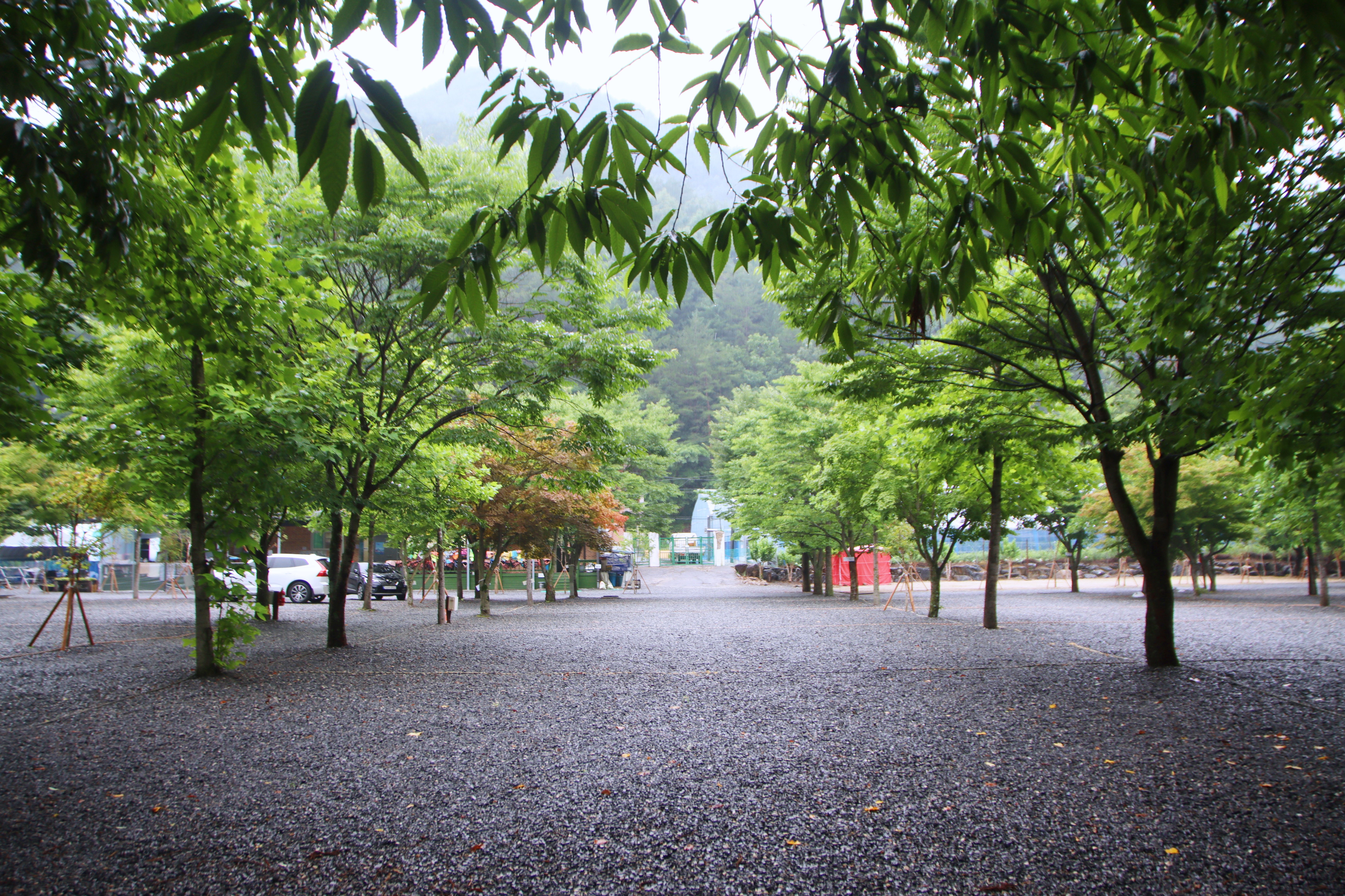 두산 캠핑장 19번째 이미지