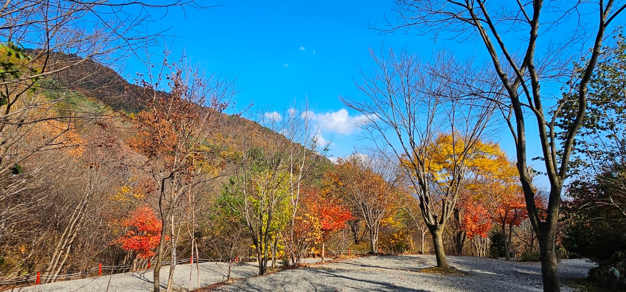 두산 캠핑장 추가 이미지
