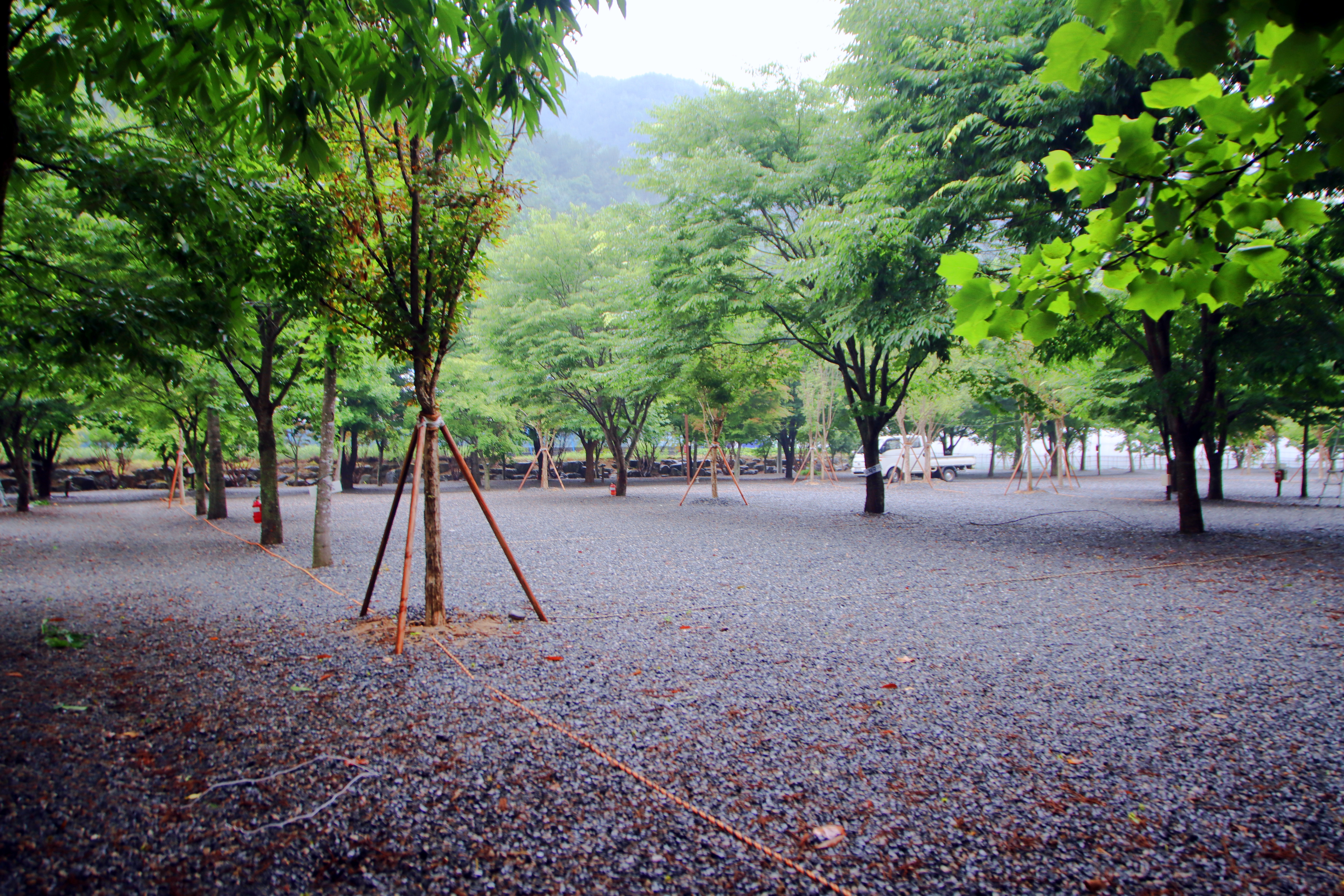 두산 캠핑장 23번째 이미지