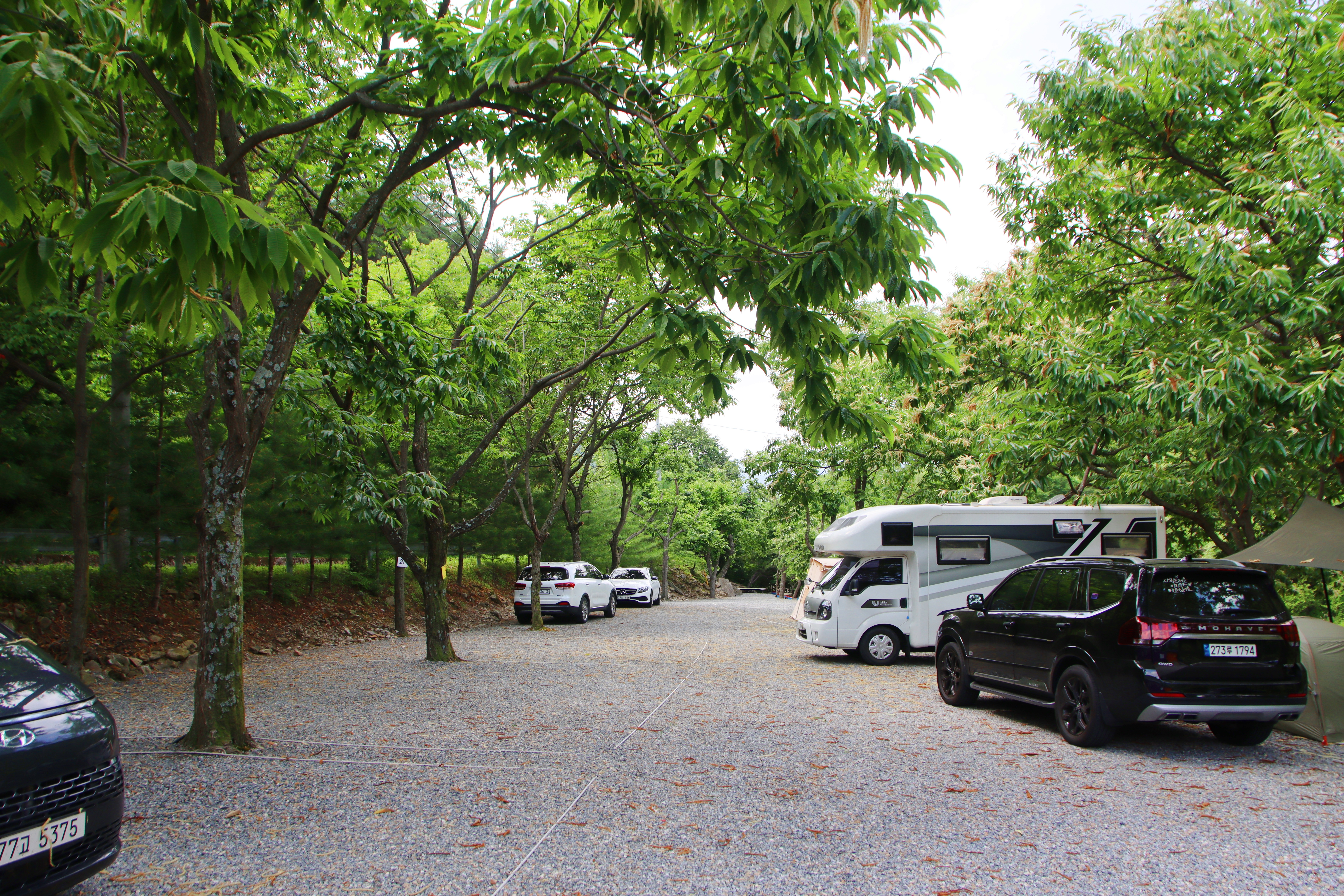 밤골야영장 이미지