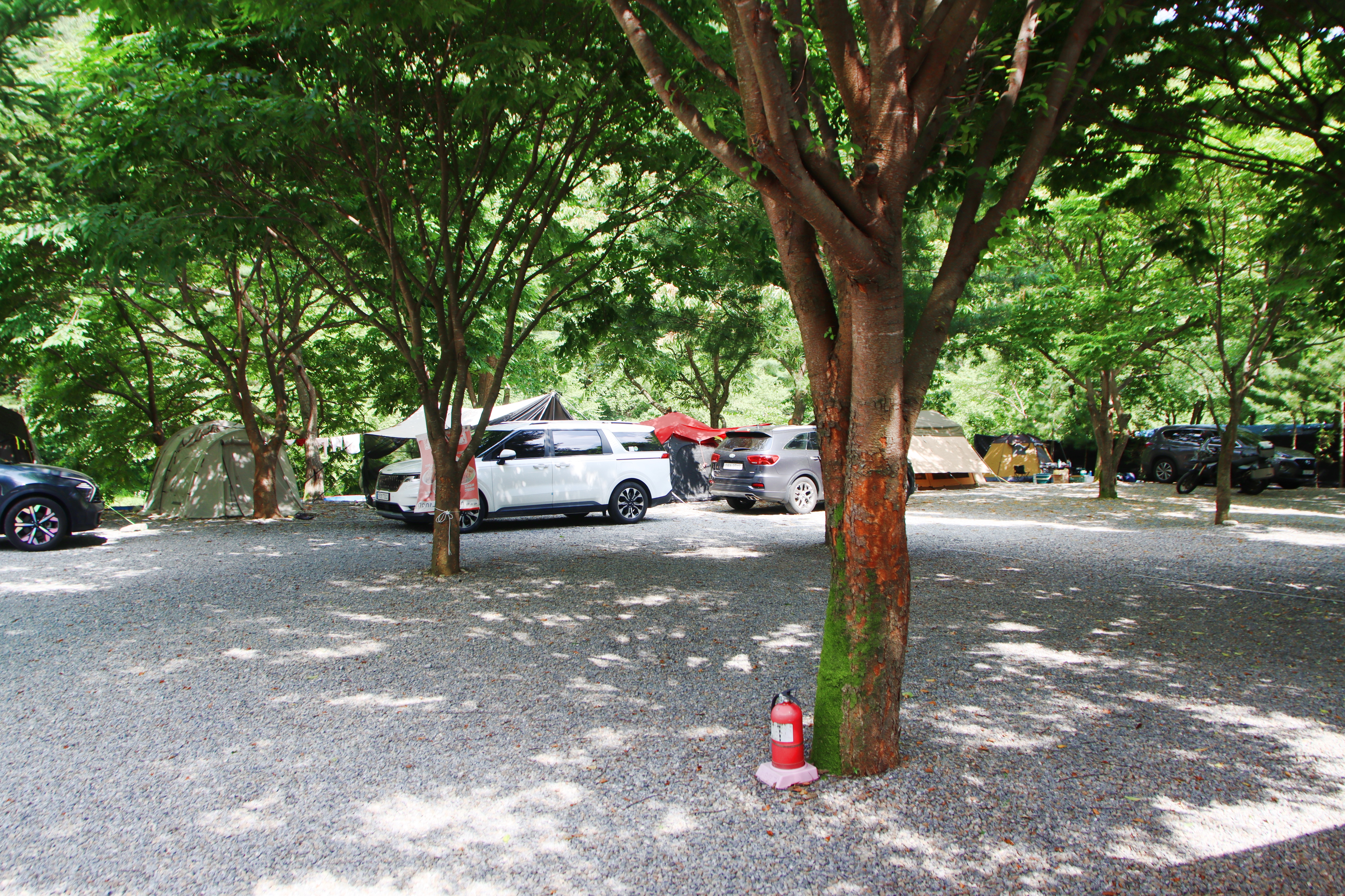 밤골야영장 이미지