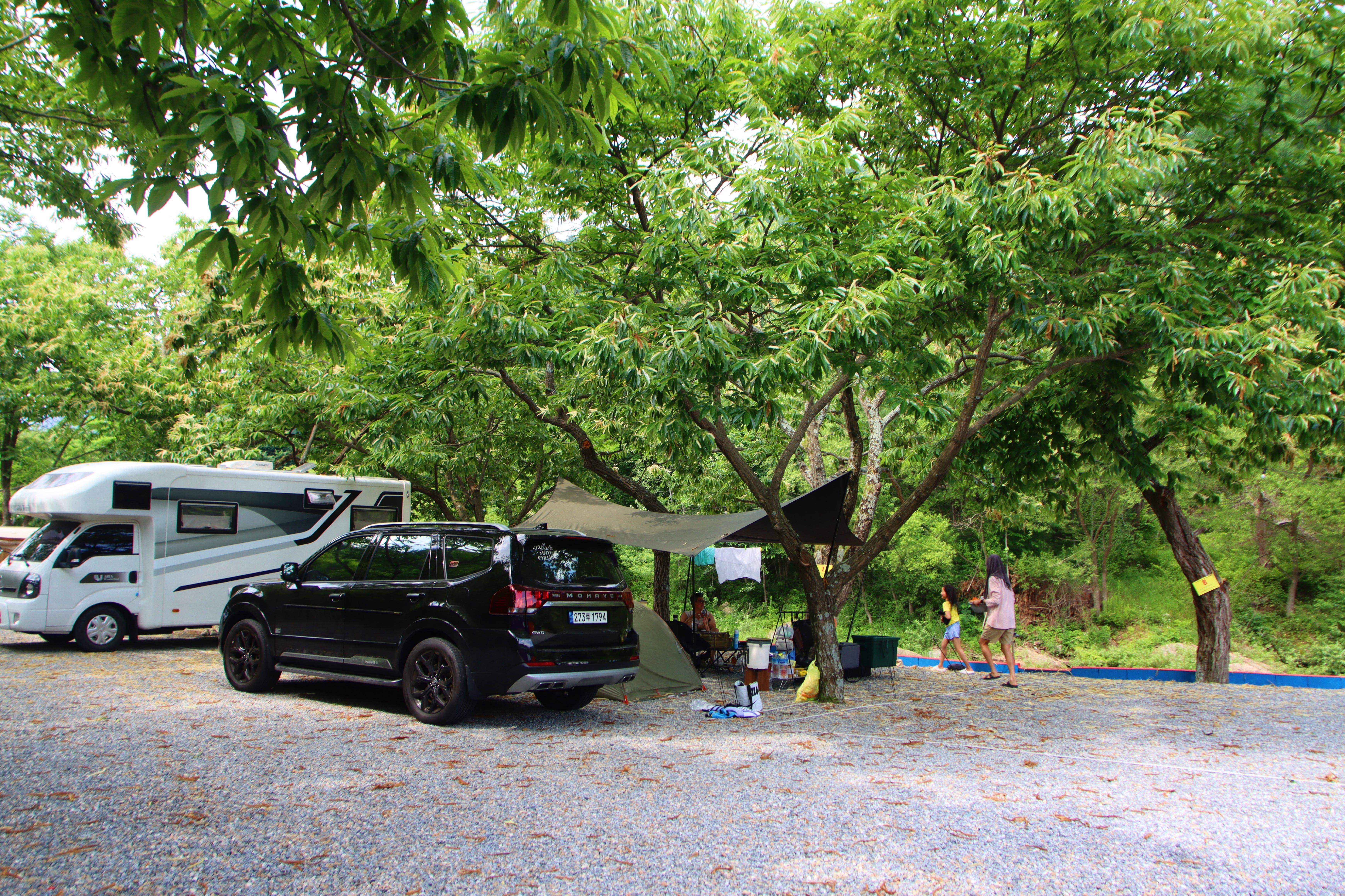 밤골야영장 이미지