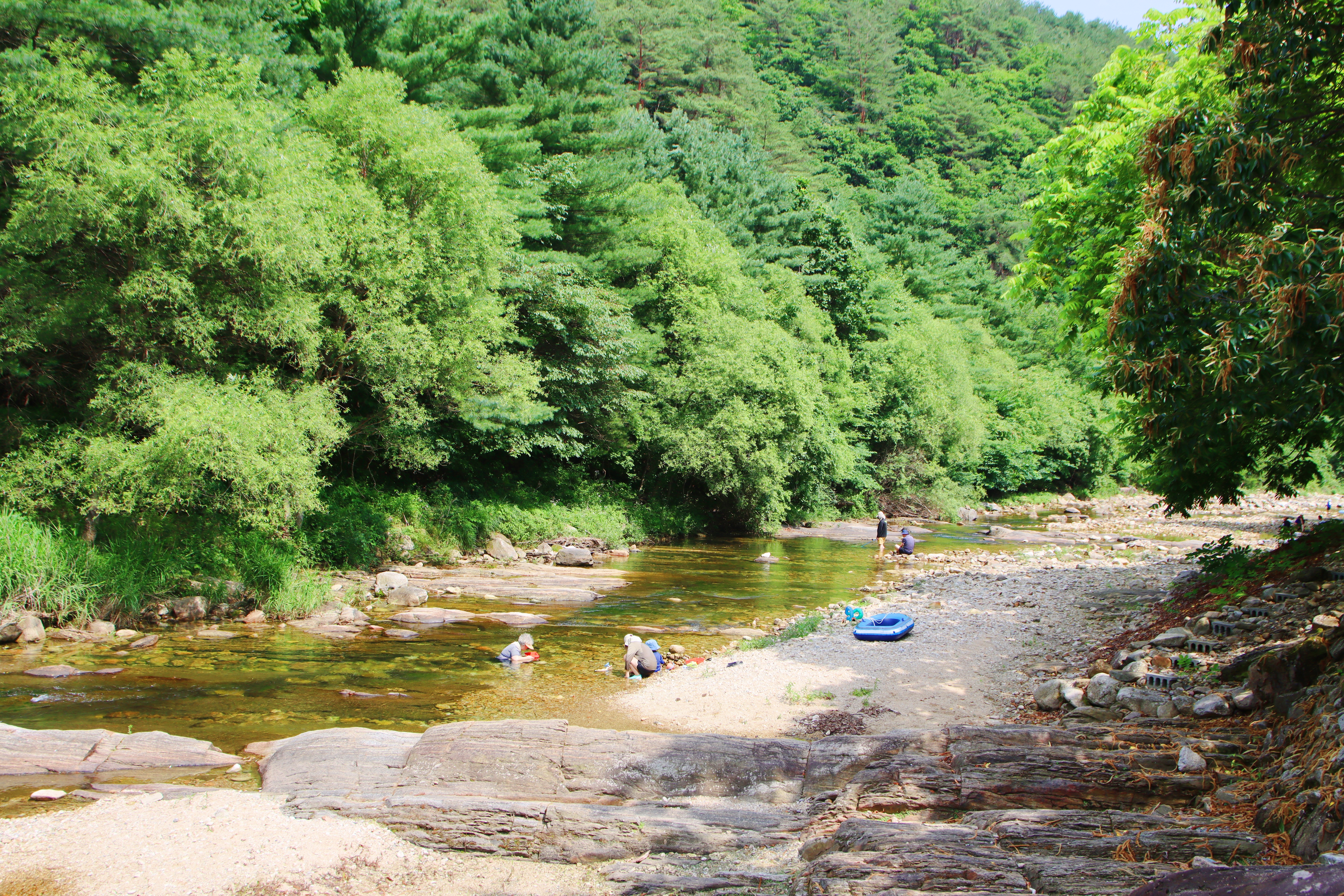 밤골야영장 이미지