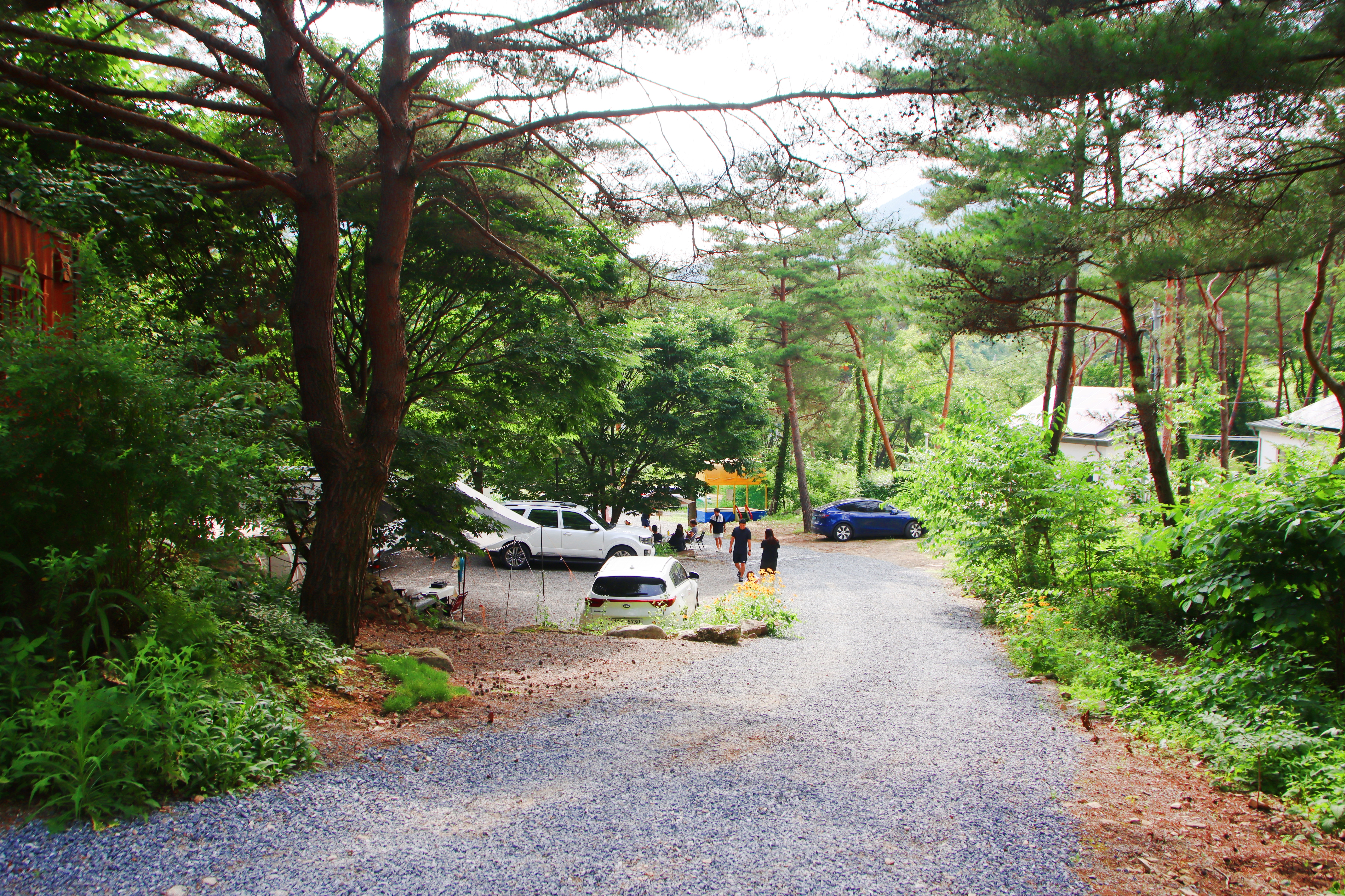 별빛캠핑장 이미지