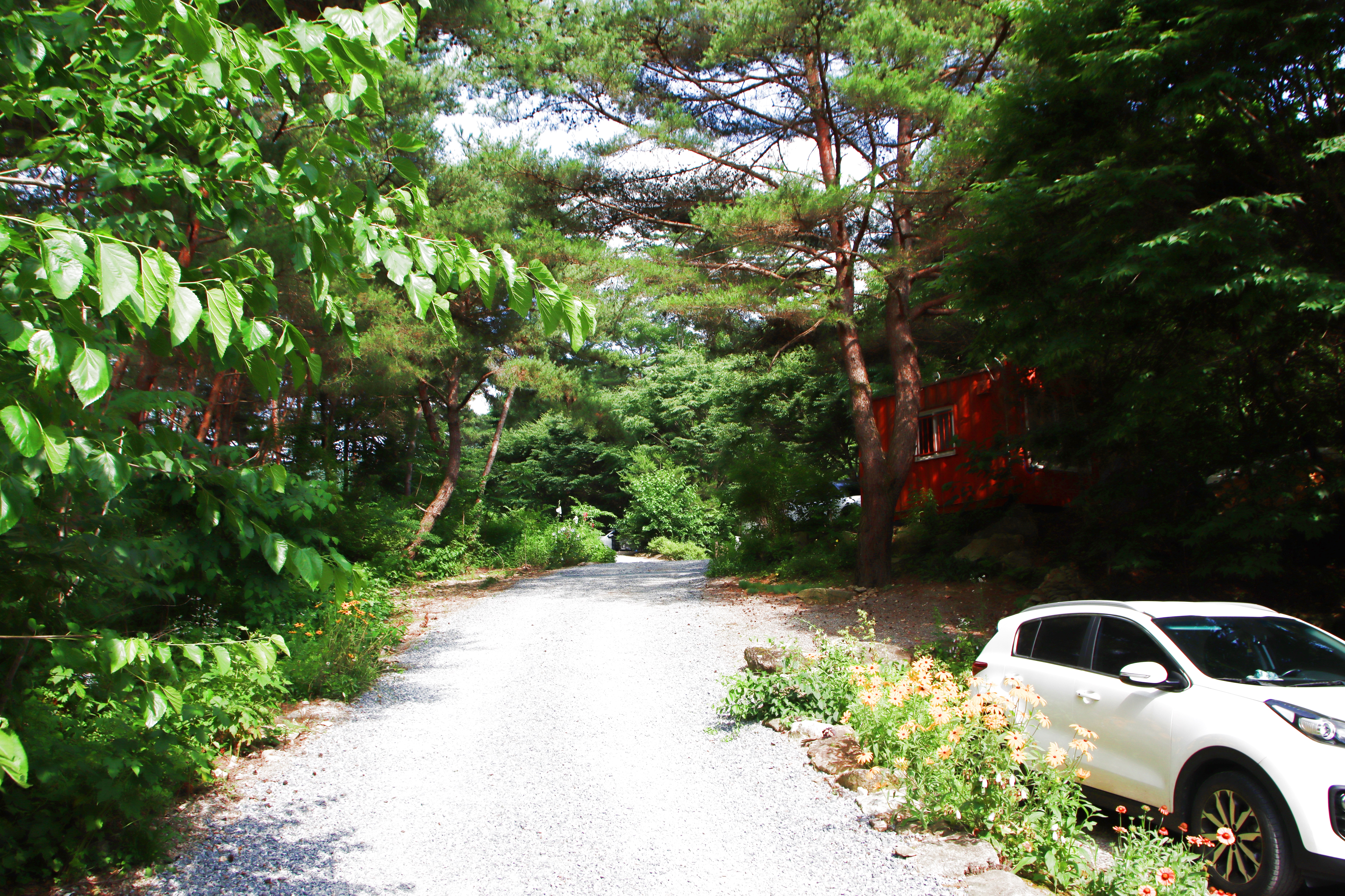 별빛캠핑장 이미지