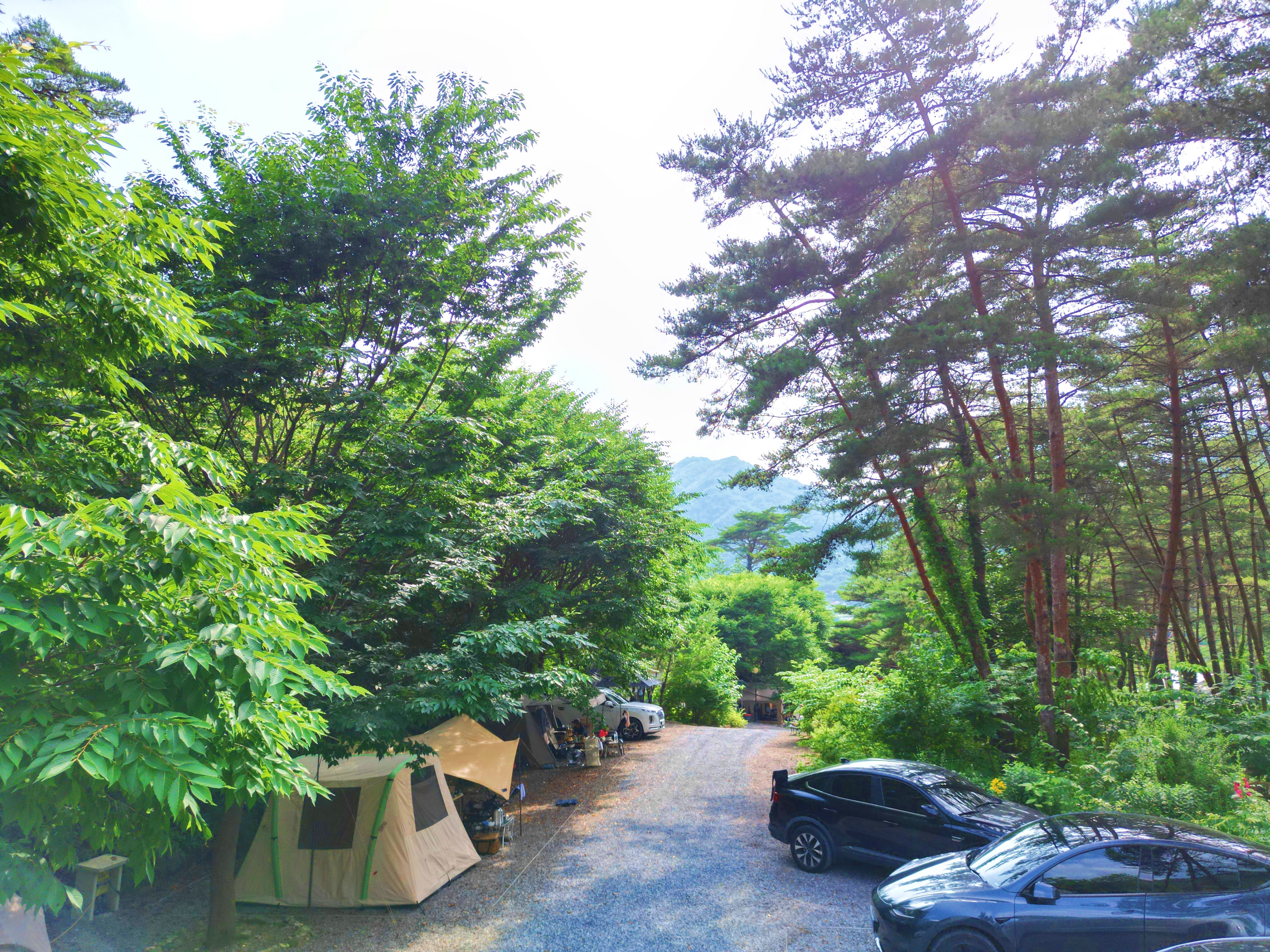 별빛캠핑장 이미지