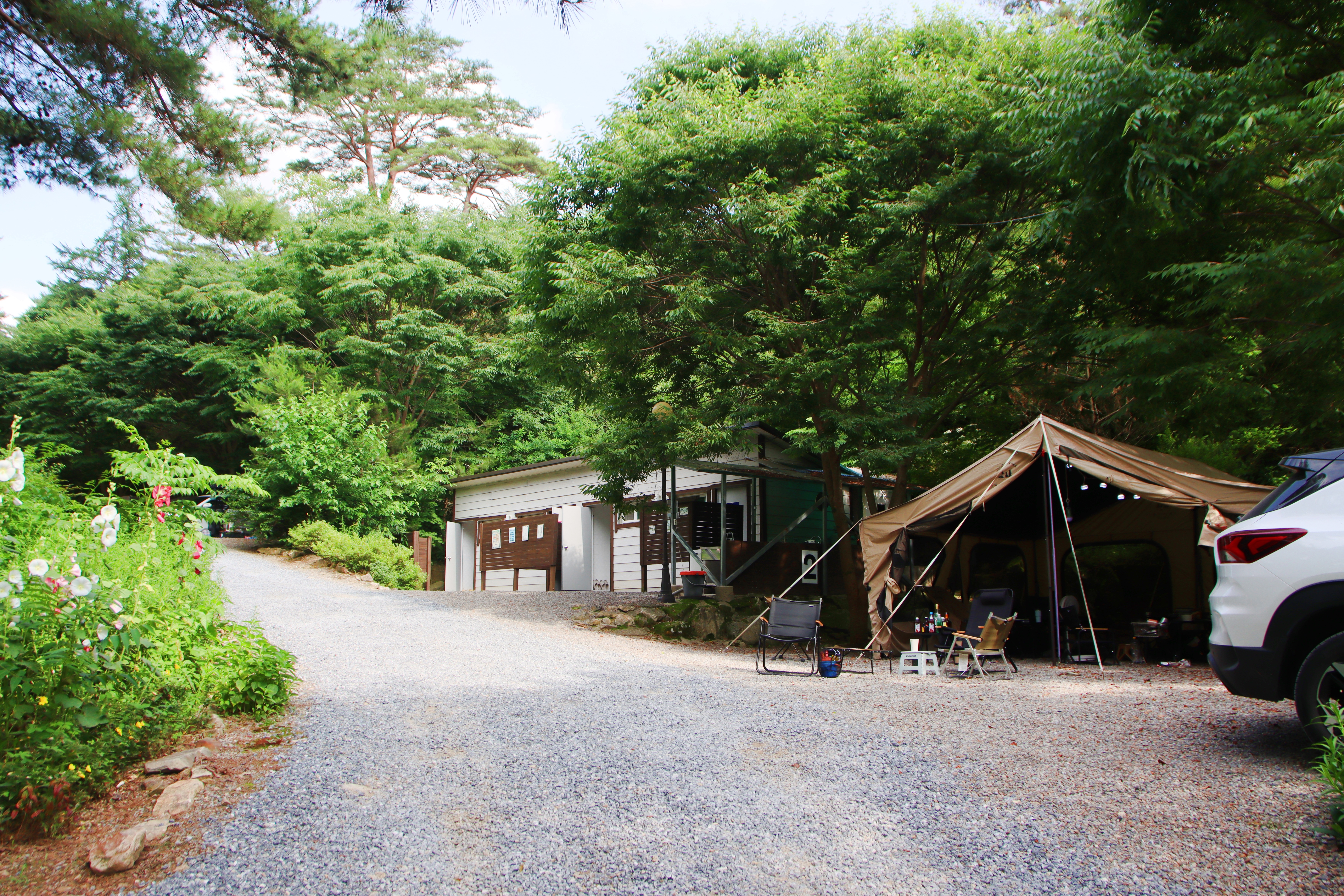 별빛캠핑장 이미지