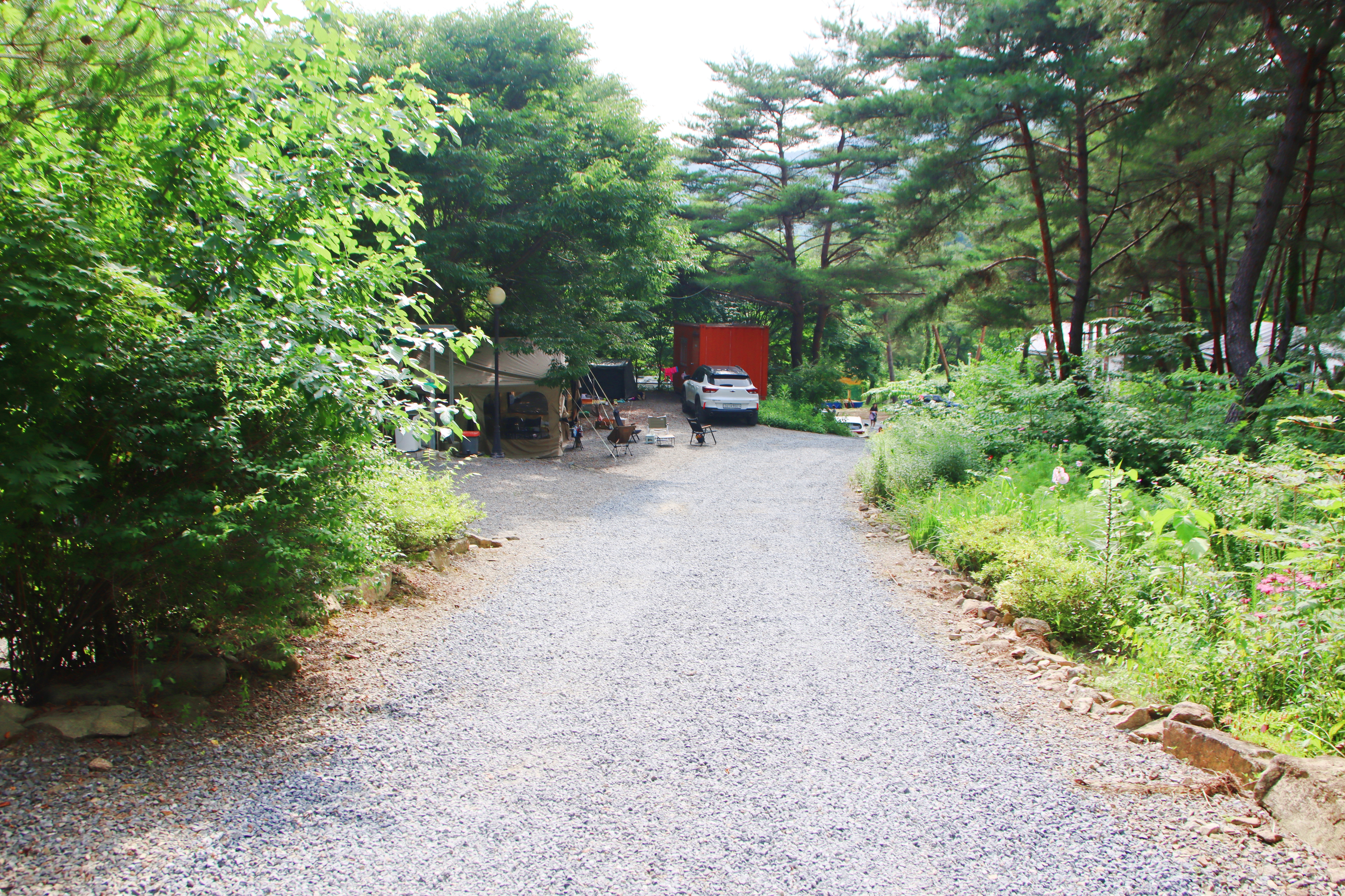 별빛캠핑장 이미지