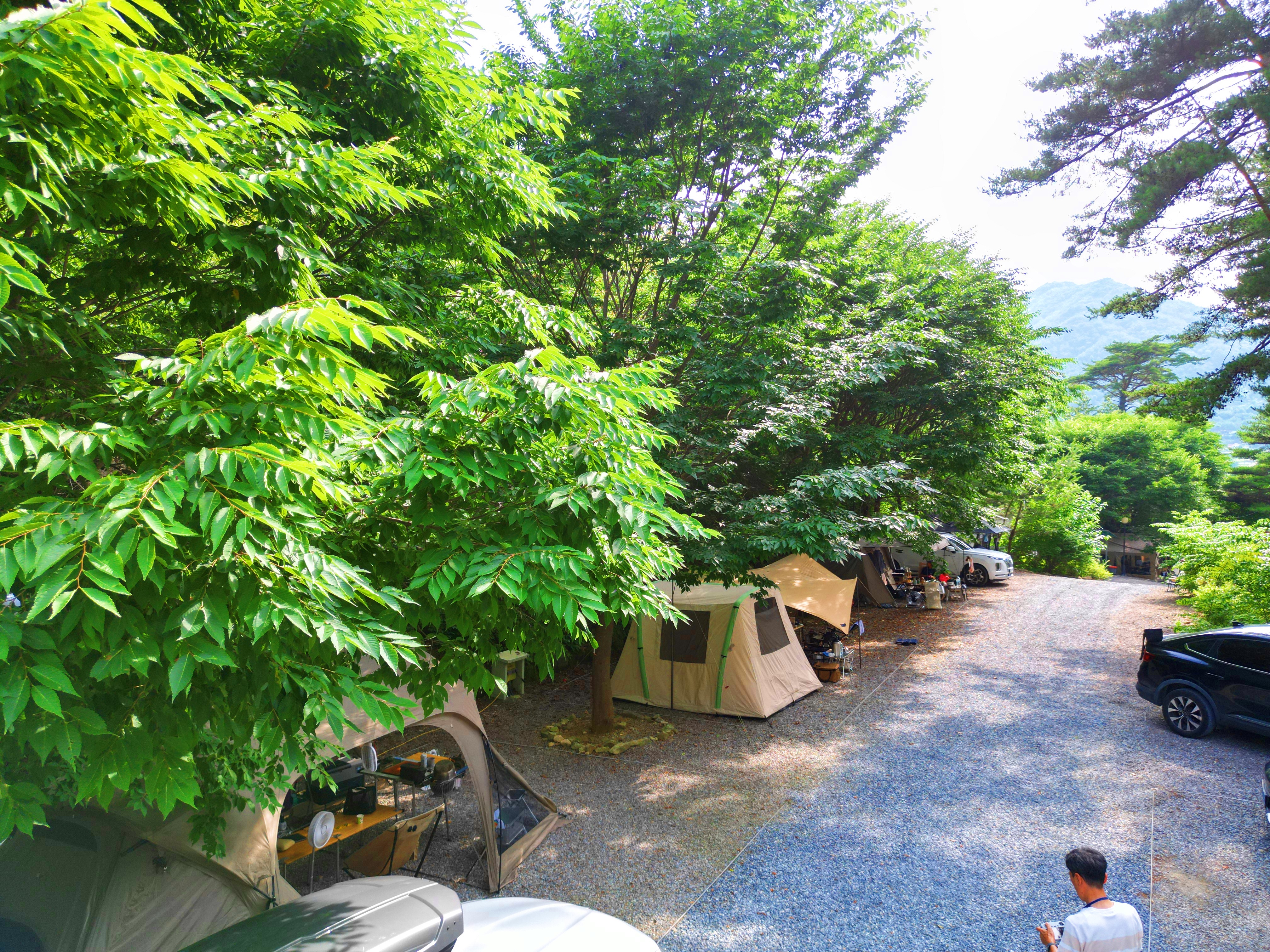 별빛캠핑장 이미지