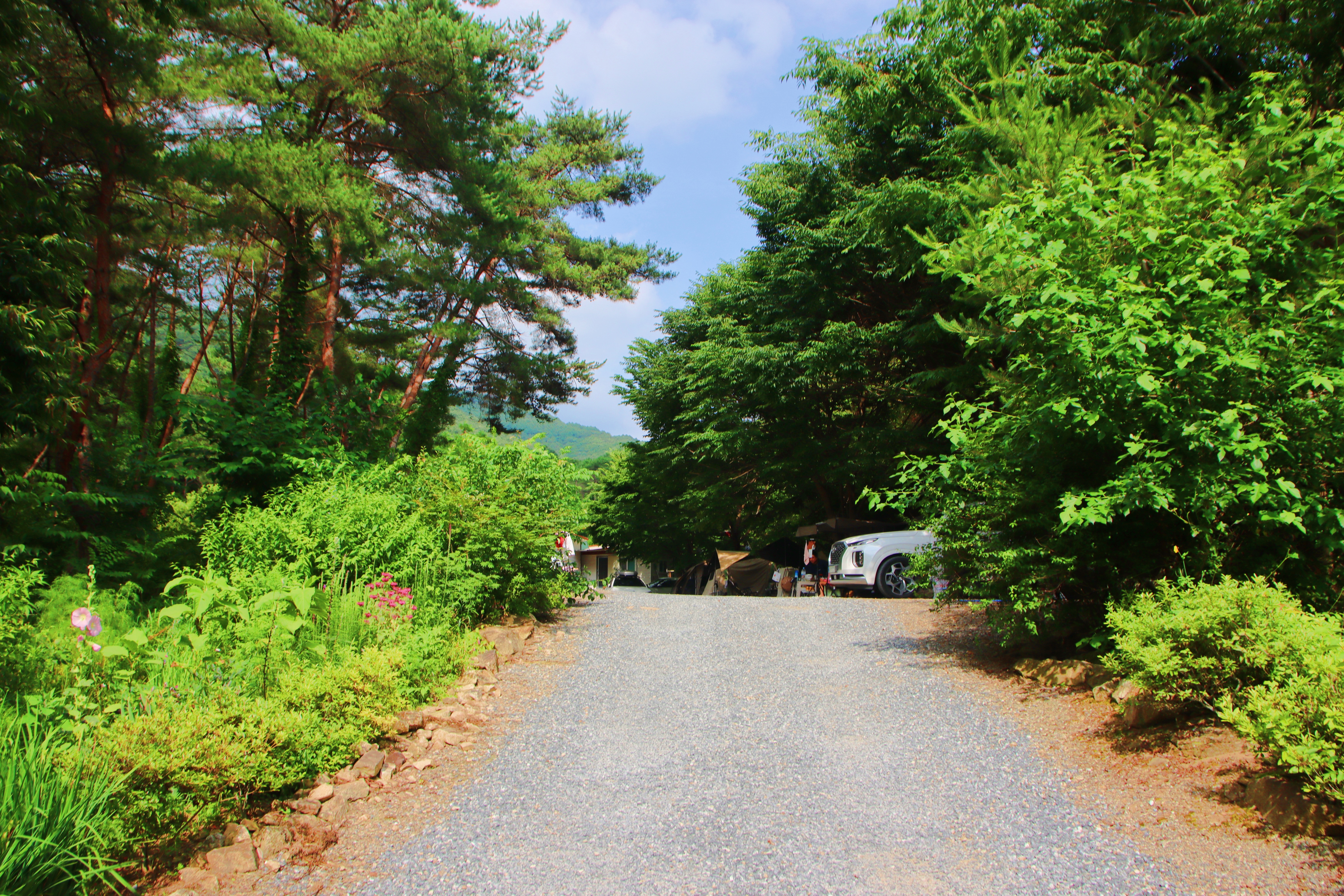 별빛캠핑장 이미지