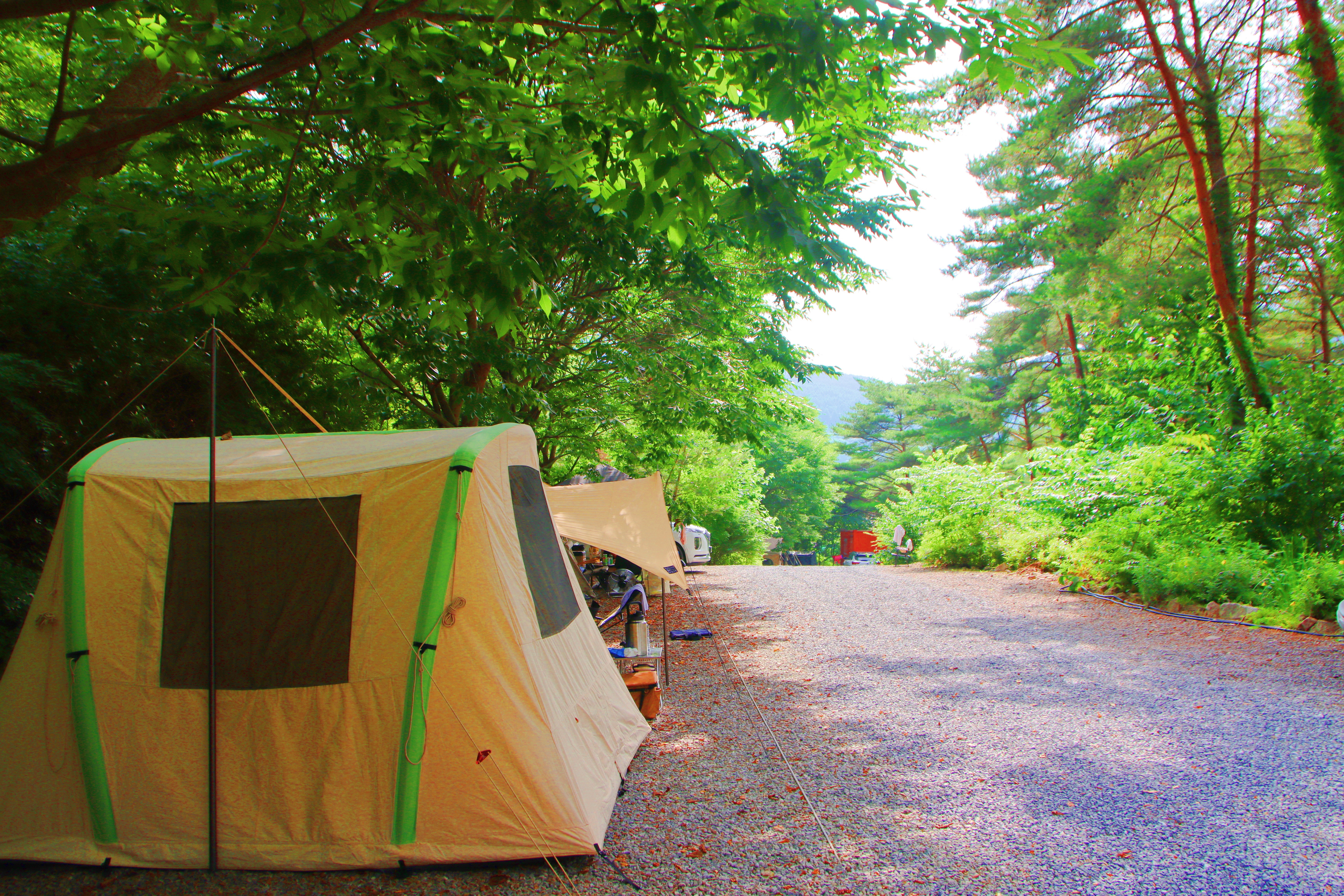 별빛캠핑장 이미지