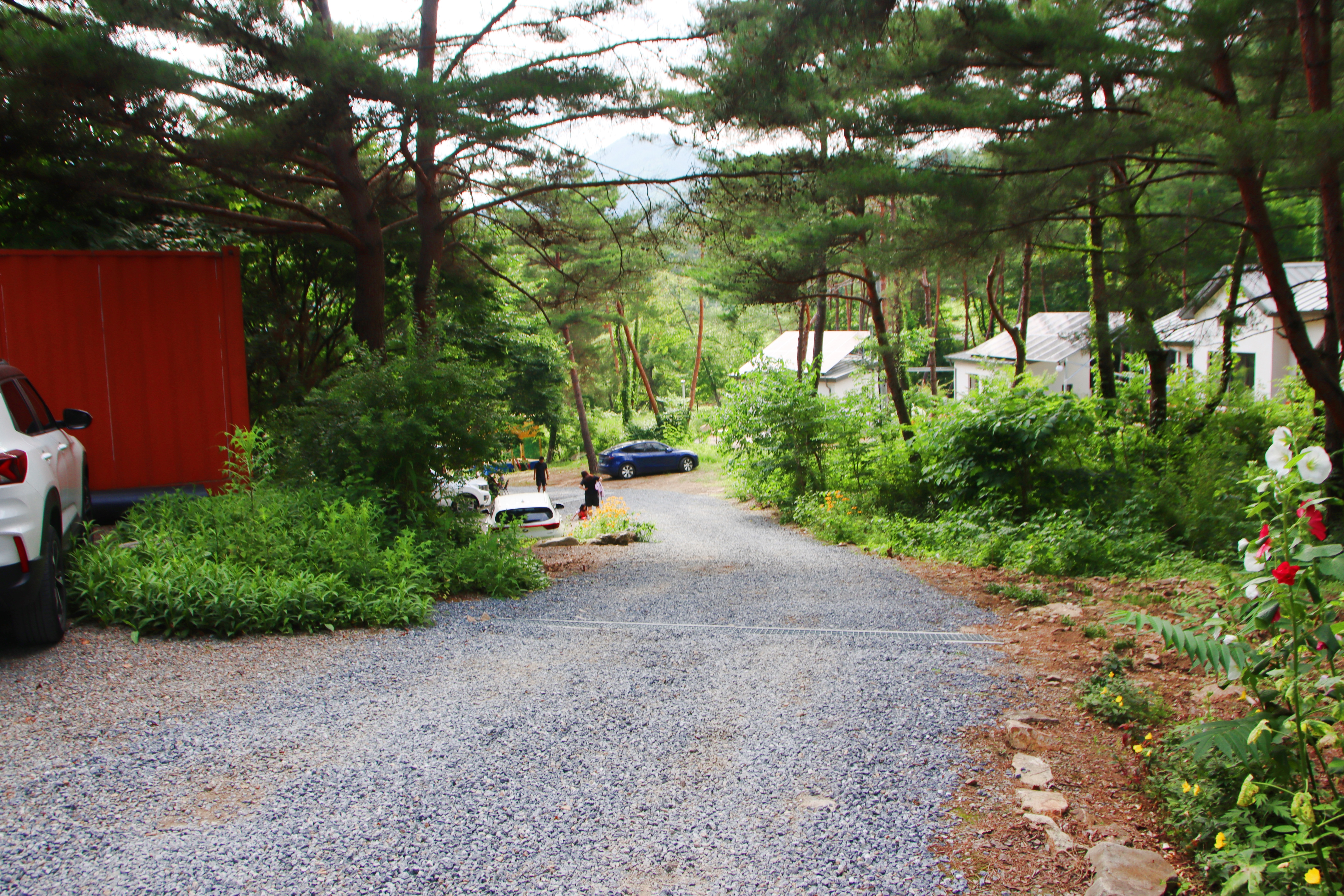 별빛캠핑장 이미지