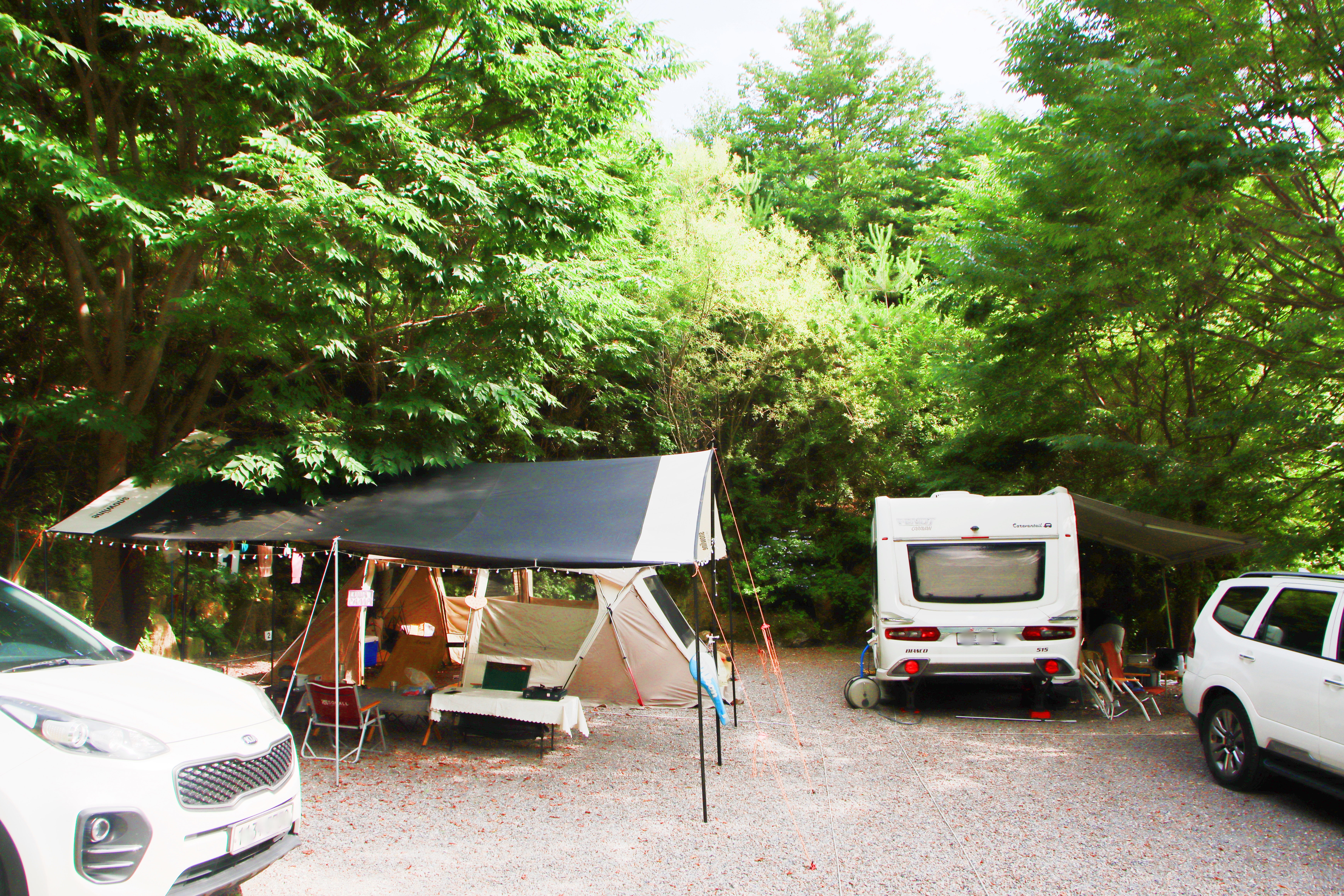 별빛캠핑장 이미지